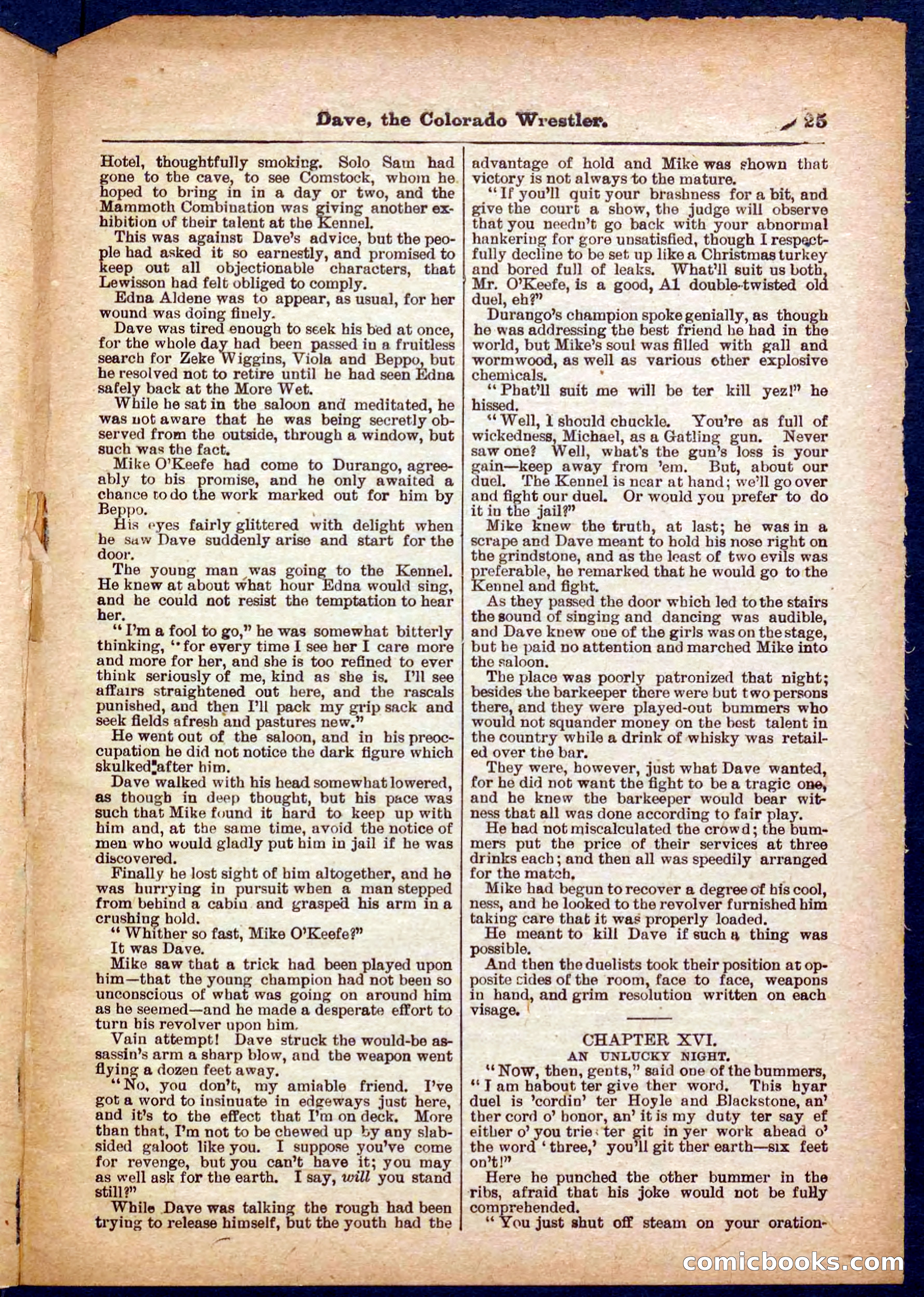 Beadle's Pocket Library No. 329: Dave the Colorado Wrestler — page 25 of 32