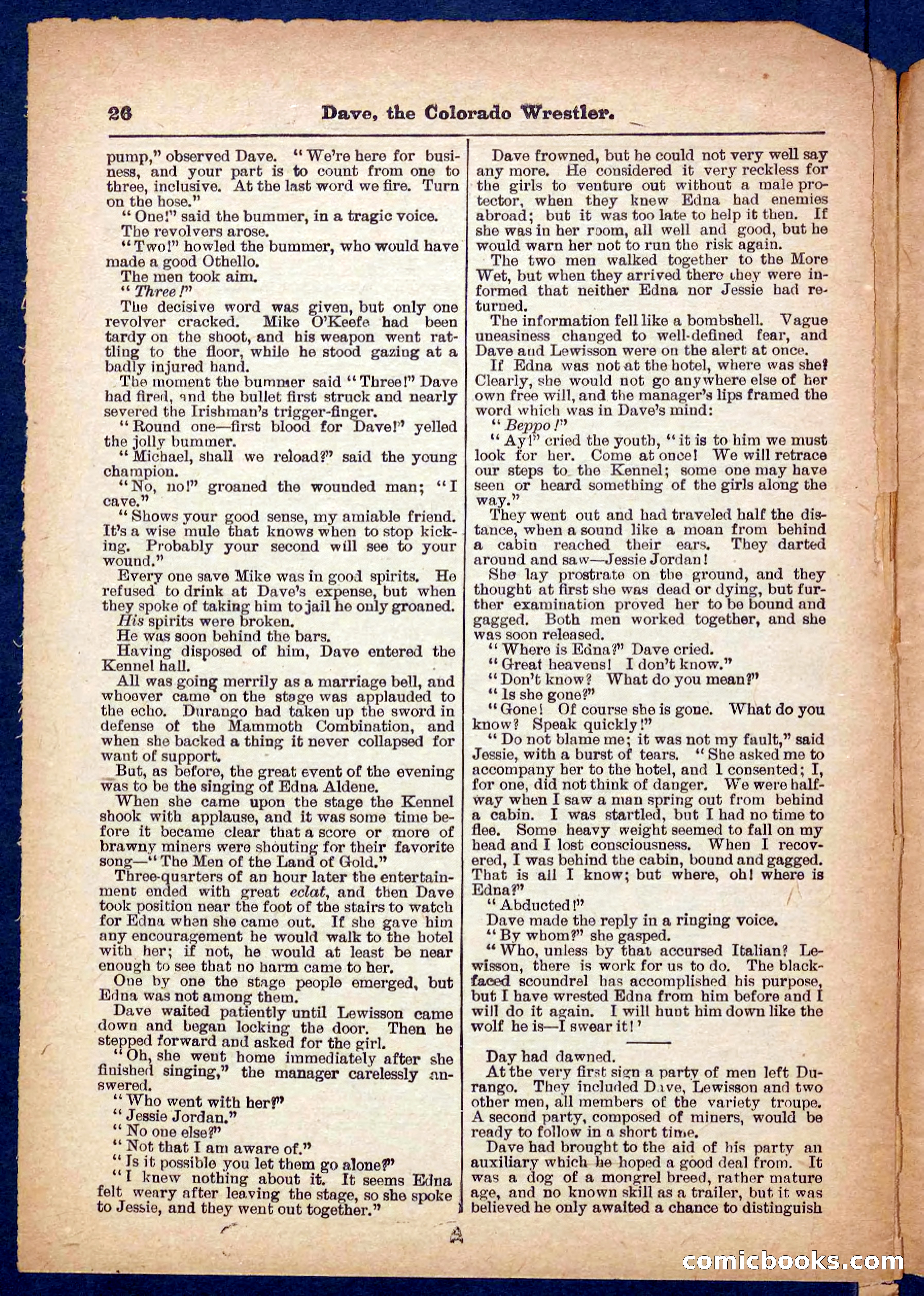 Beadle's Pocket Library No. 329: Dave the Colorado Wrestler — page 26 of 32