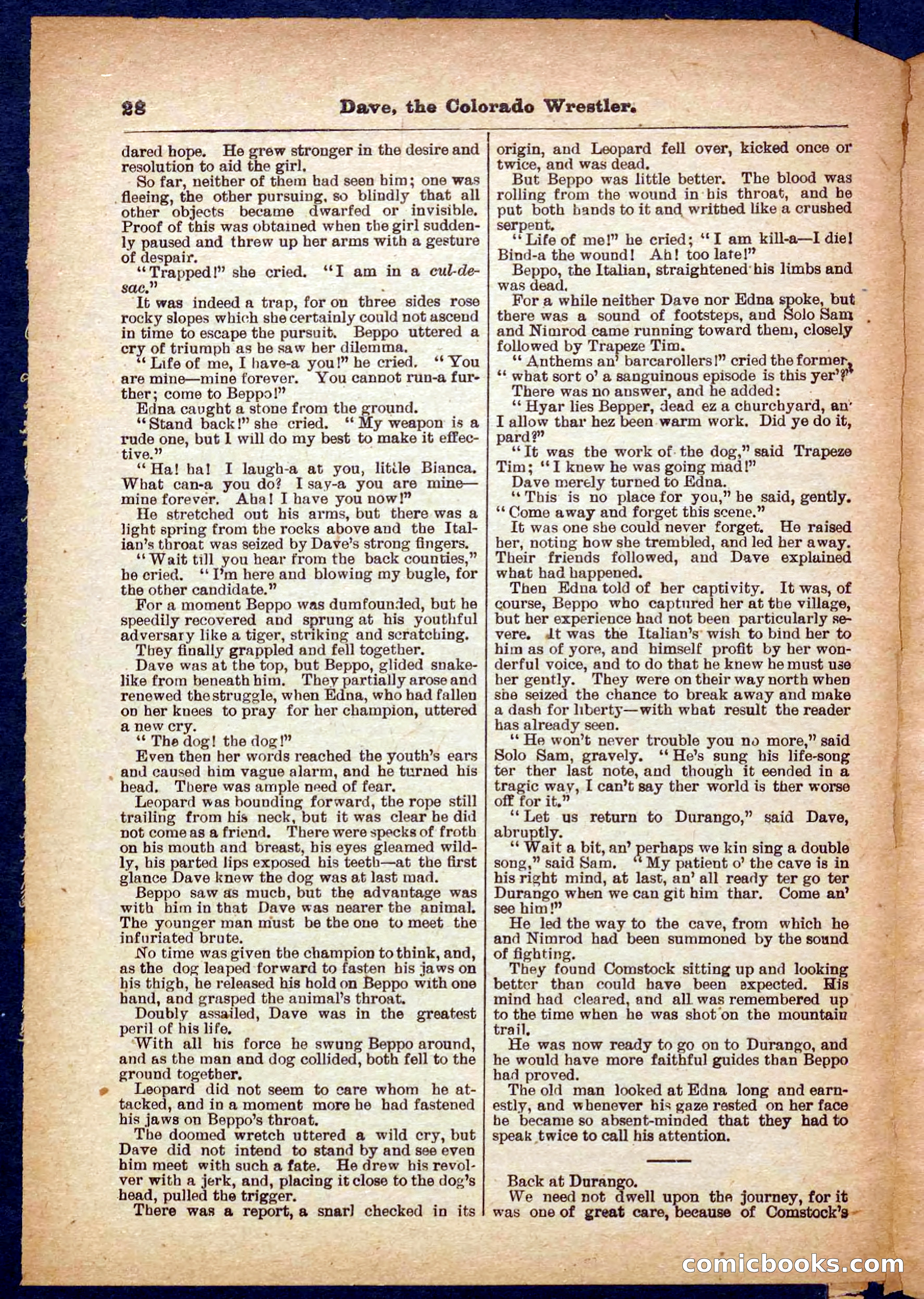 Beadle's Pocket Library No. 329: Dave the Colorado Wrestler — page 28 of 32