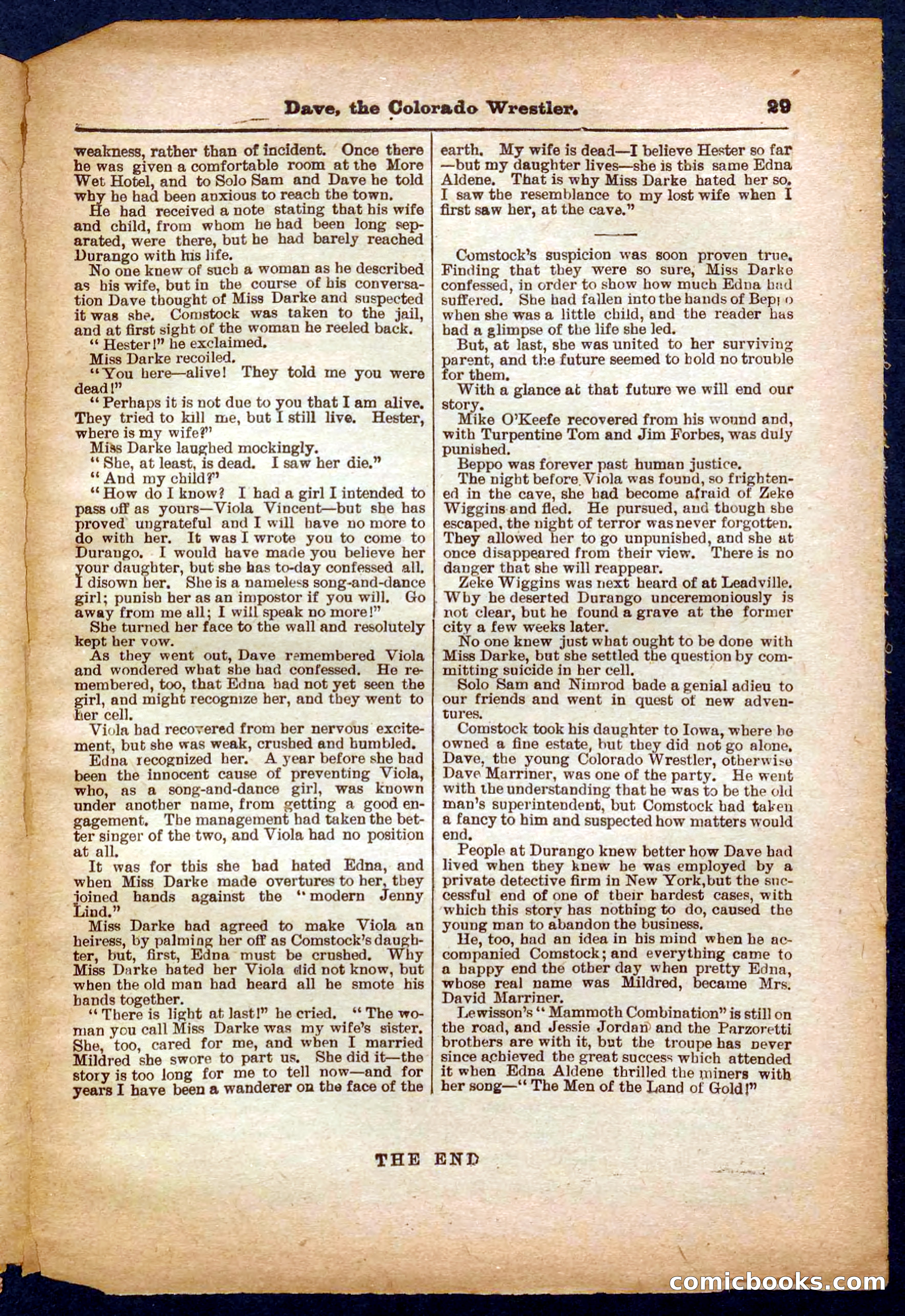 Beadle's Pocket Library No. 329: Dave the Colorado Wrestler — page 29 of 32