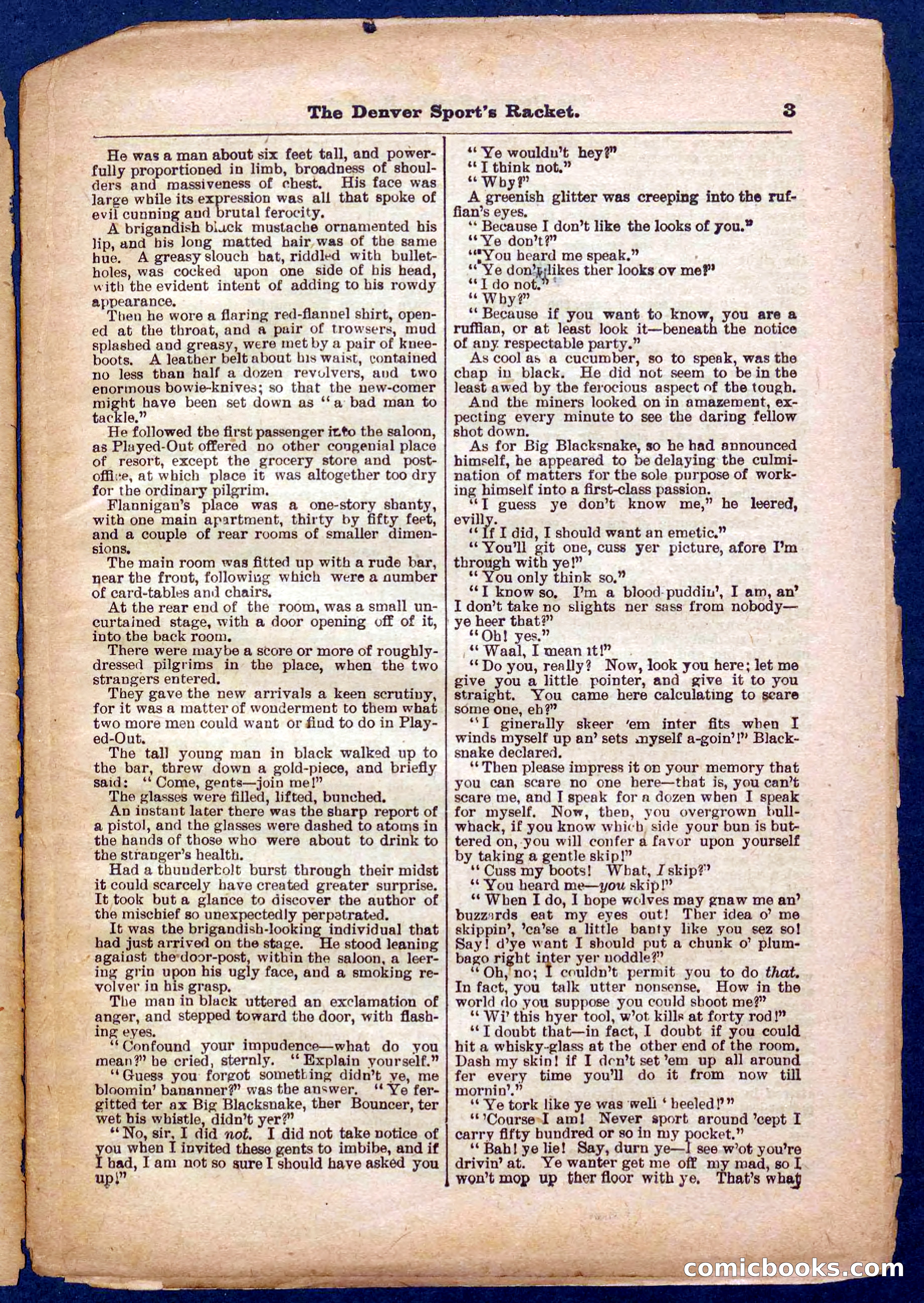 Beadle's Pocket Library No. 330 — page 3 of 32
