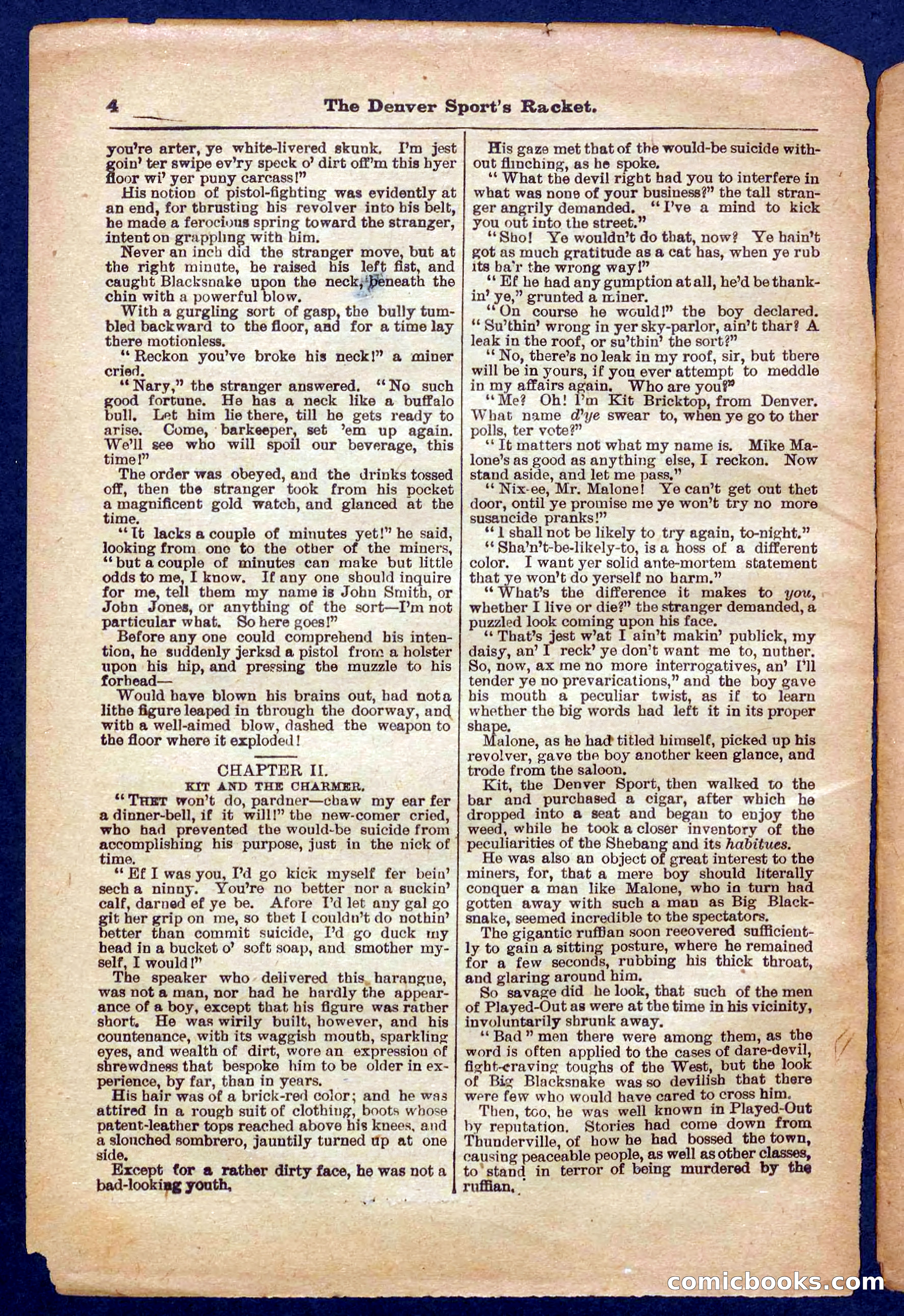 Beadle's Pocket Library No. 330 — page 4 of 32