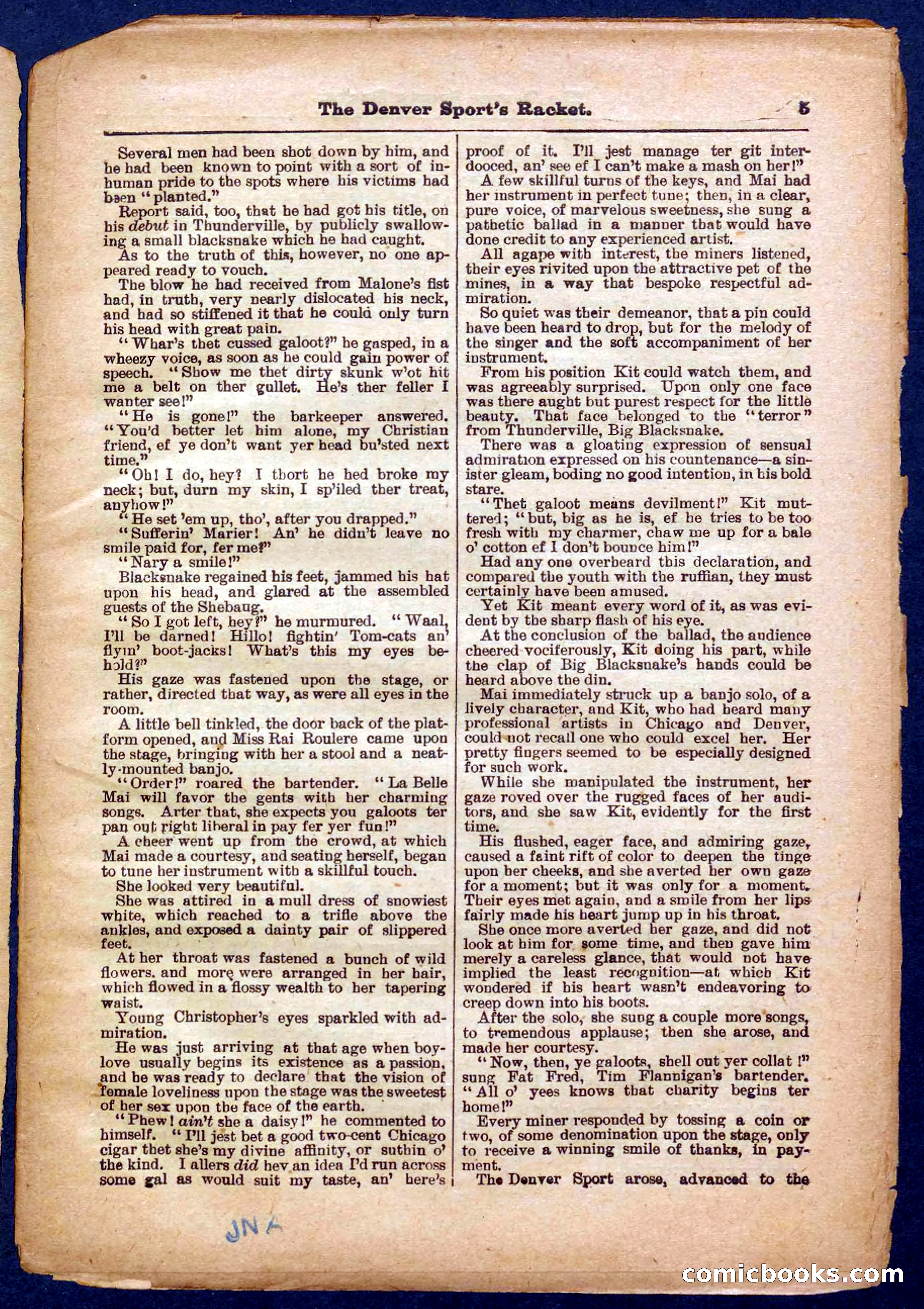 Beadle's Pocket Library No. 330 — page 5 of 32