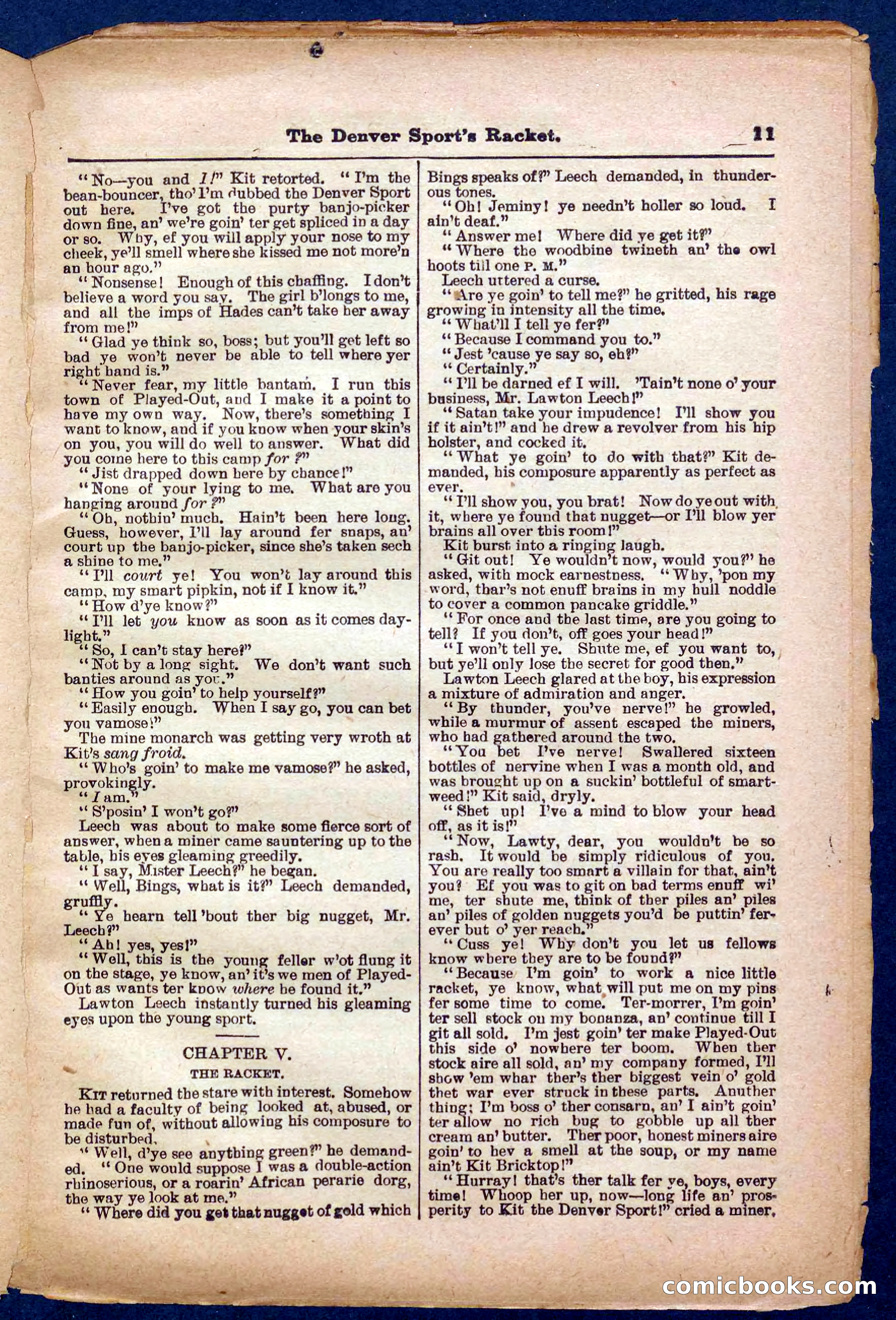 Beadle's Pocket Library No. 330 — page 11 of 32