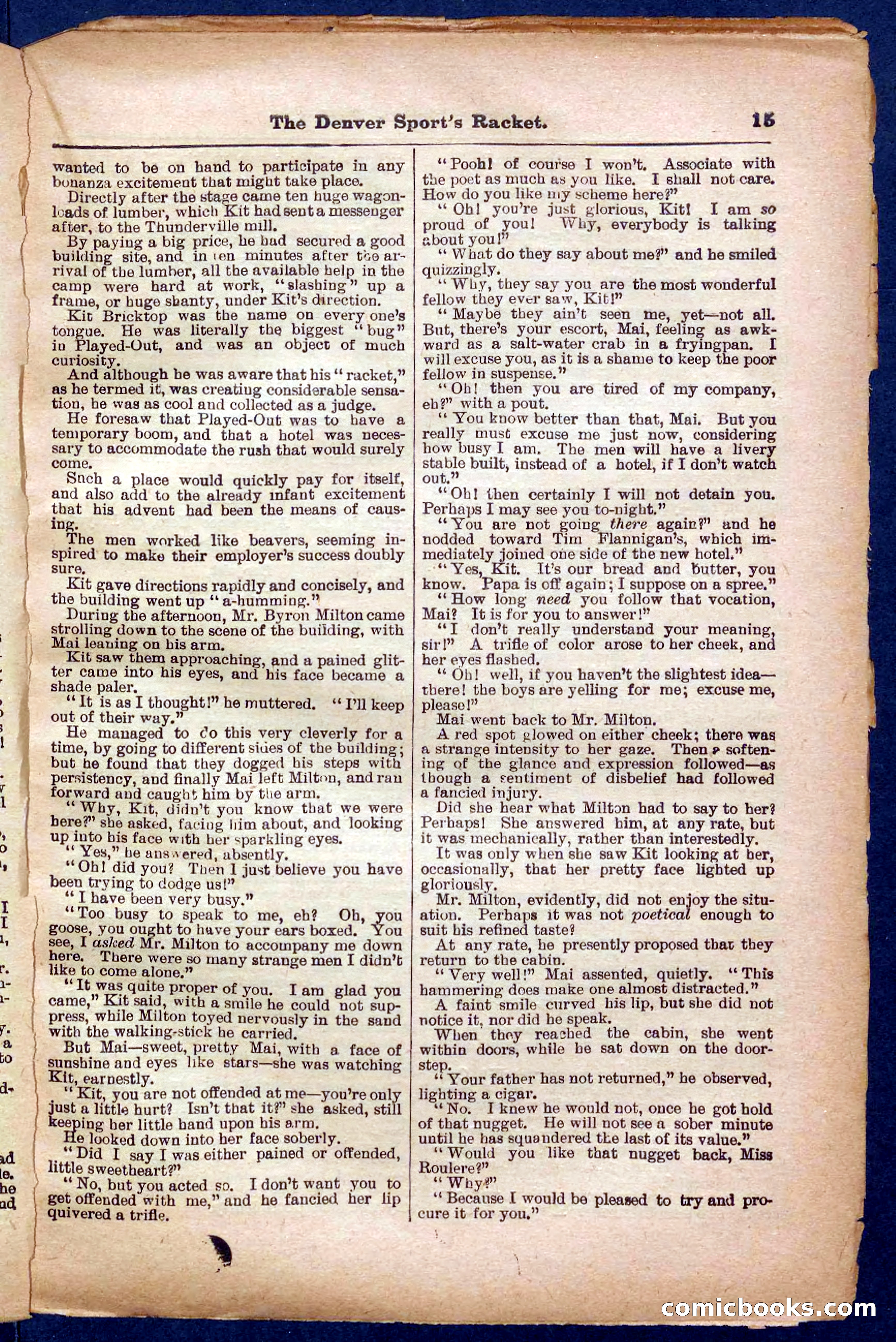 Beadle's Pocket Library No. 330 — page 15 of 32