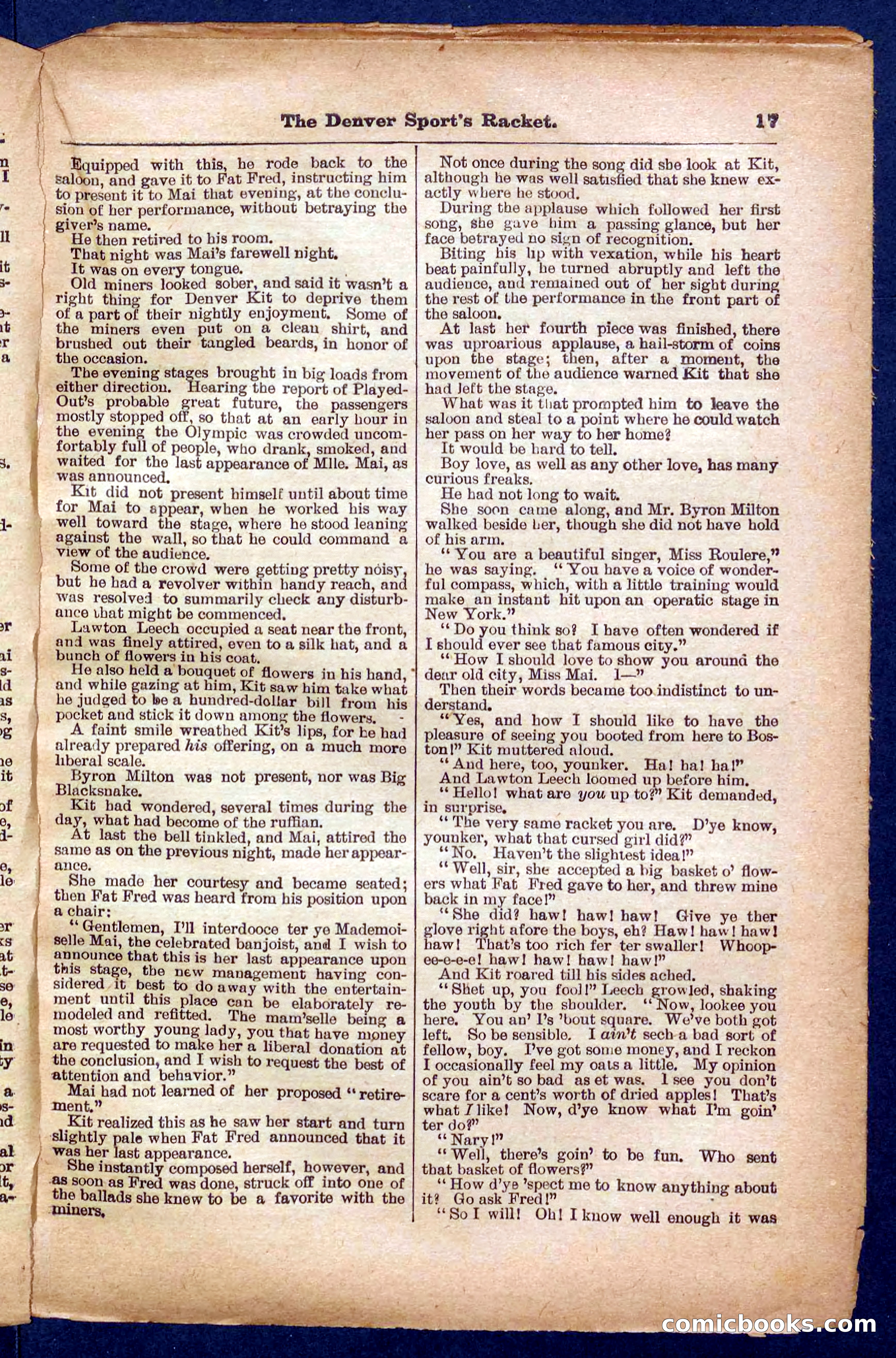 Beadle's Pocket Library No. 330 — page 17 of 32