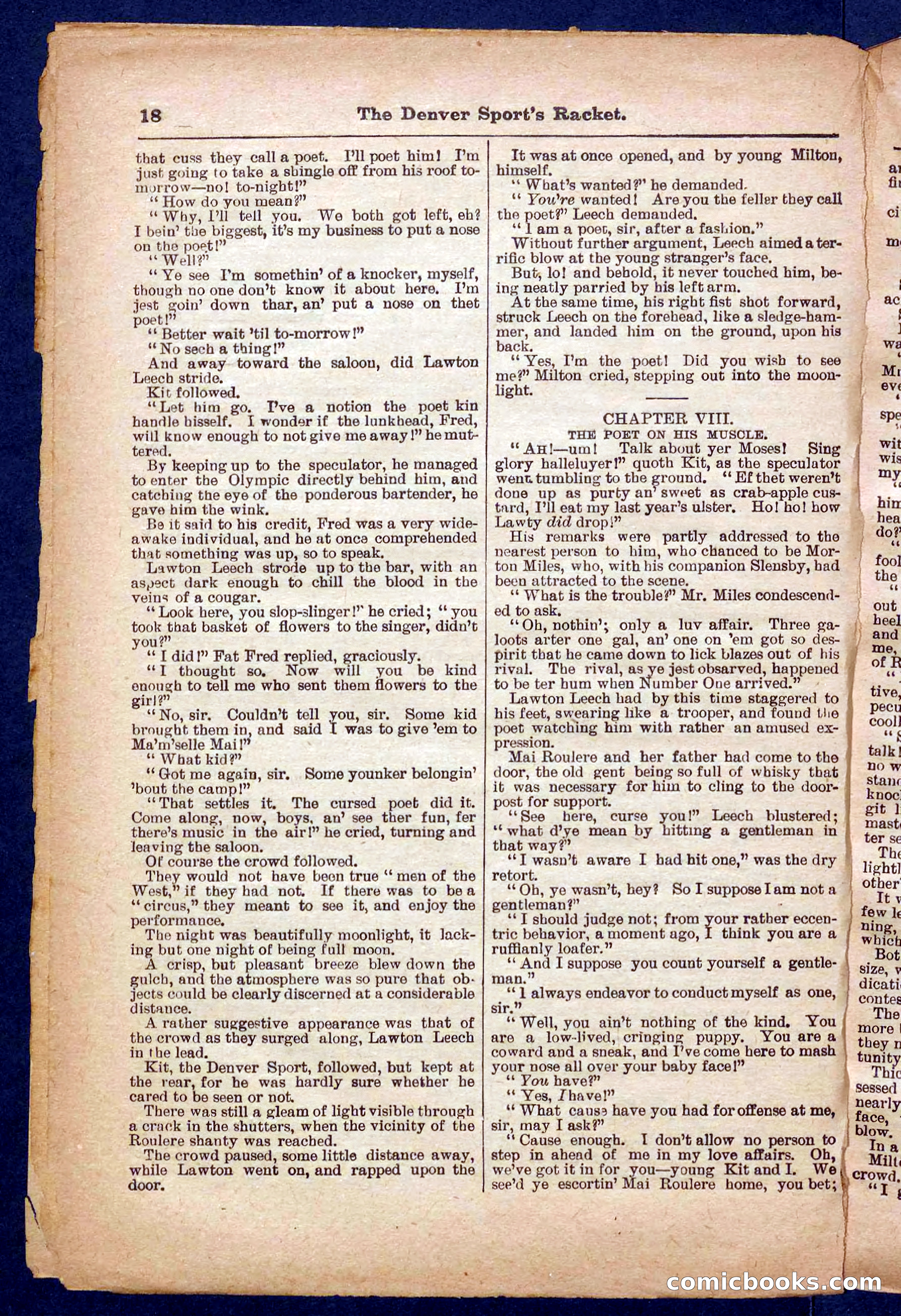 Beadle's Pocket Library No. 330 — page 18 of 32