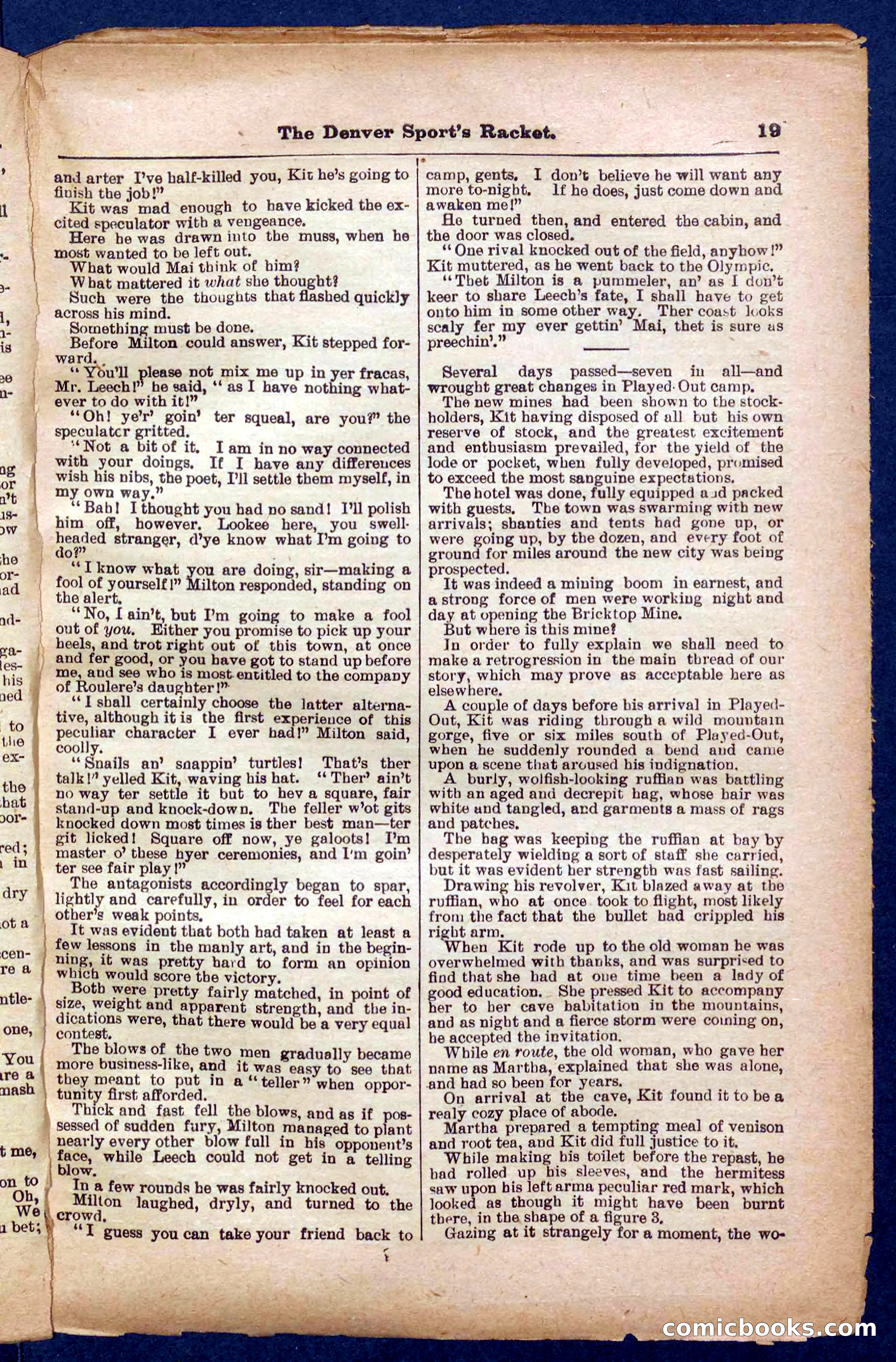 Beadle's Pocket Library No. 330 — page 19 of 32