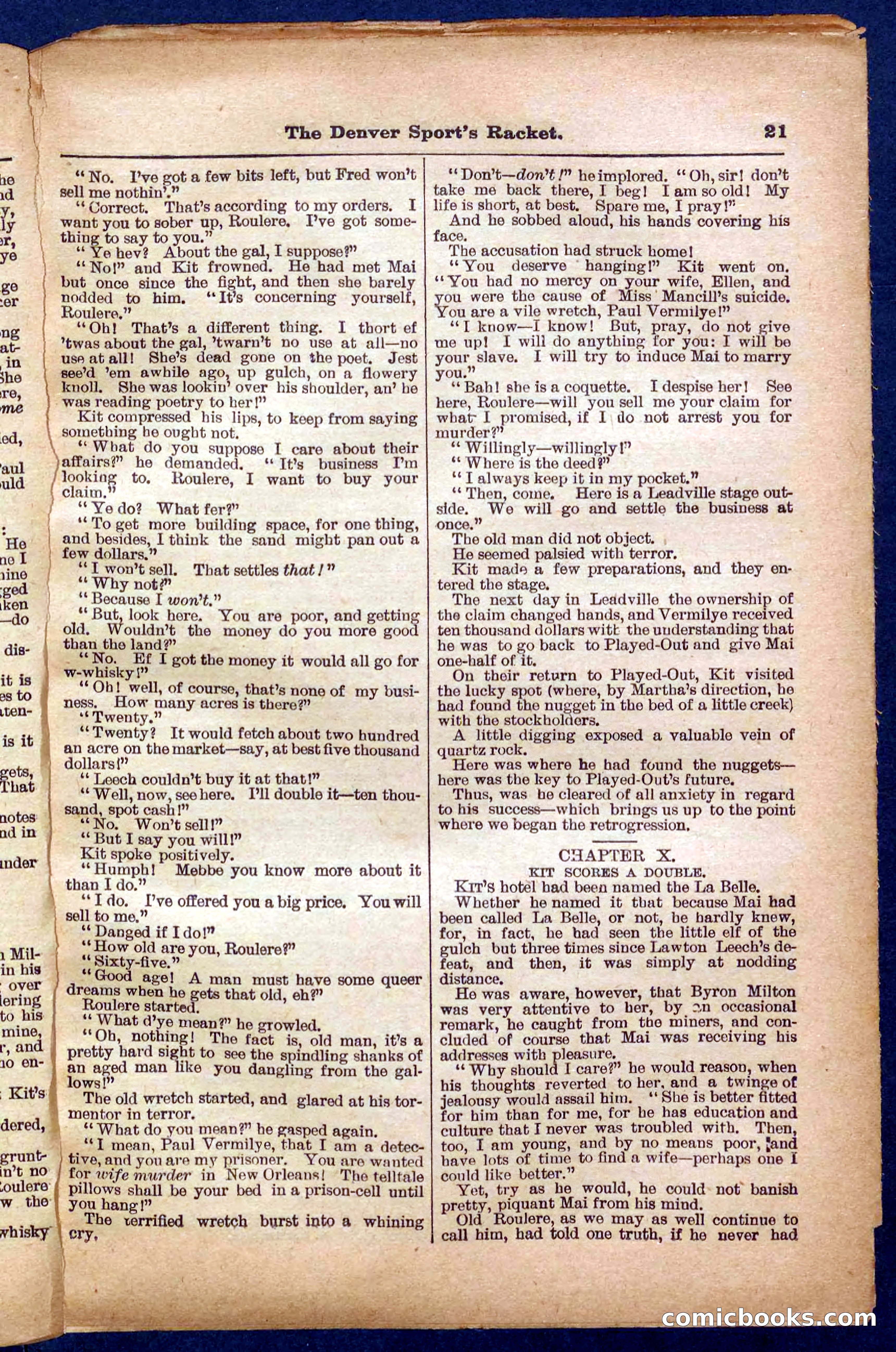 Beadle's Pocket Library No. 330 — page 21 of 32