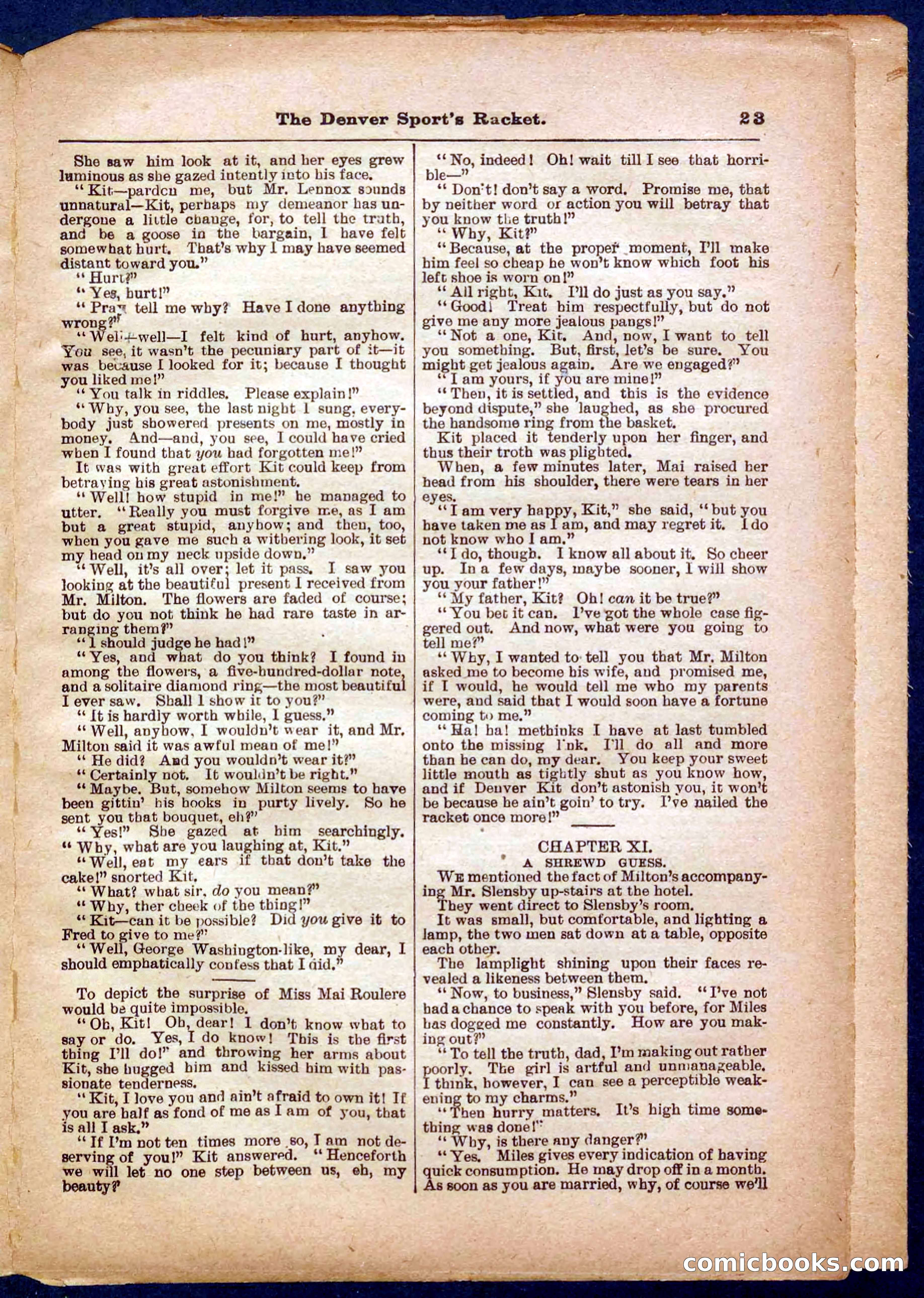Beadle's Pocket Library No. 330 — page 23 of 32