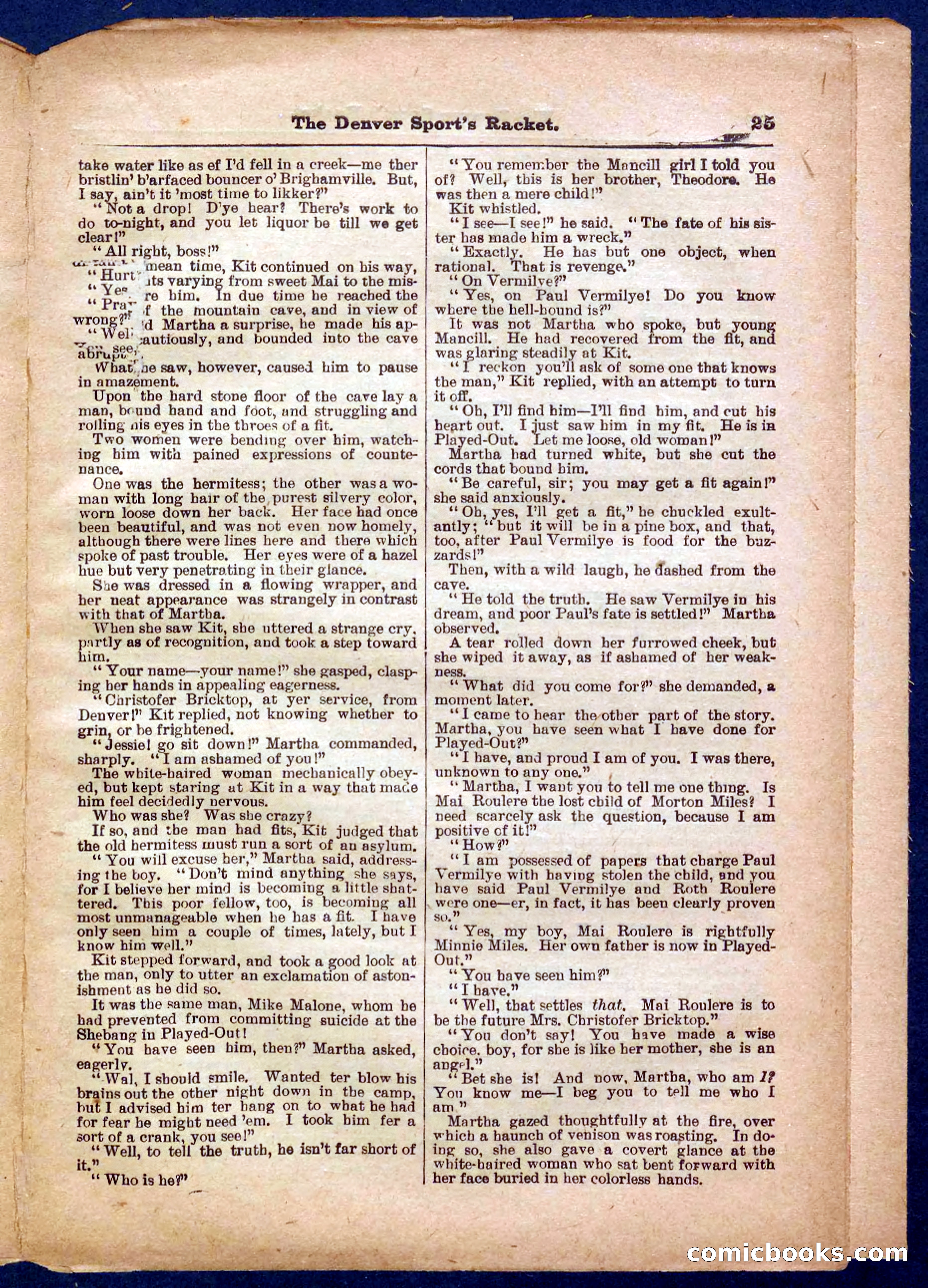Beadle's Pocket Library No. 330 — page 25 of 32