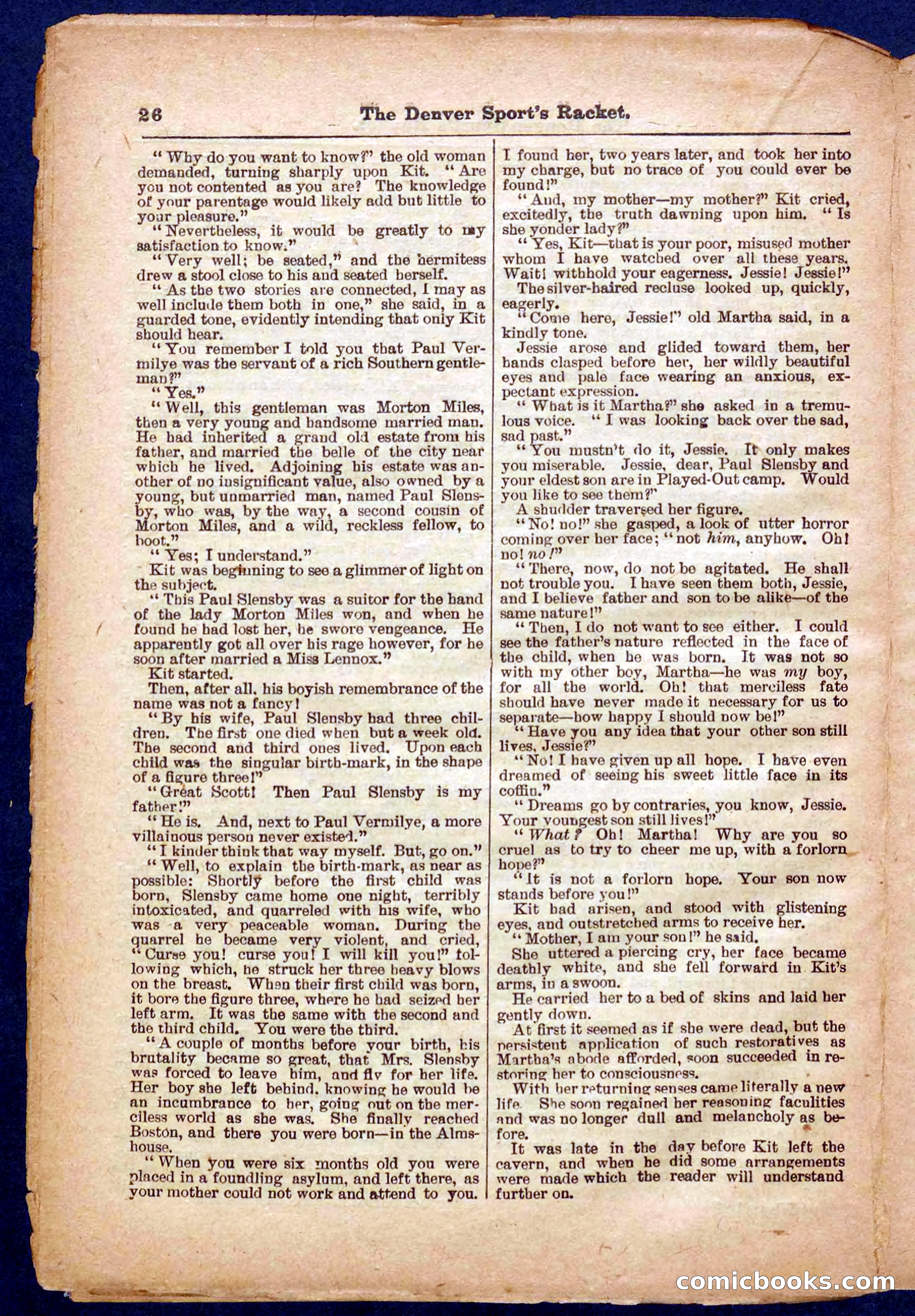 Beadle's Pocket Library No. 330 — page 26 of 32