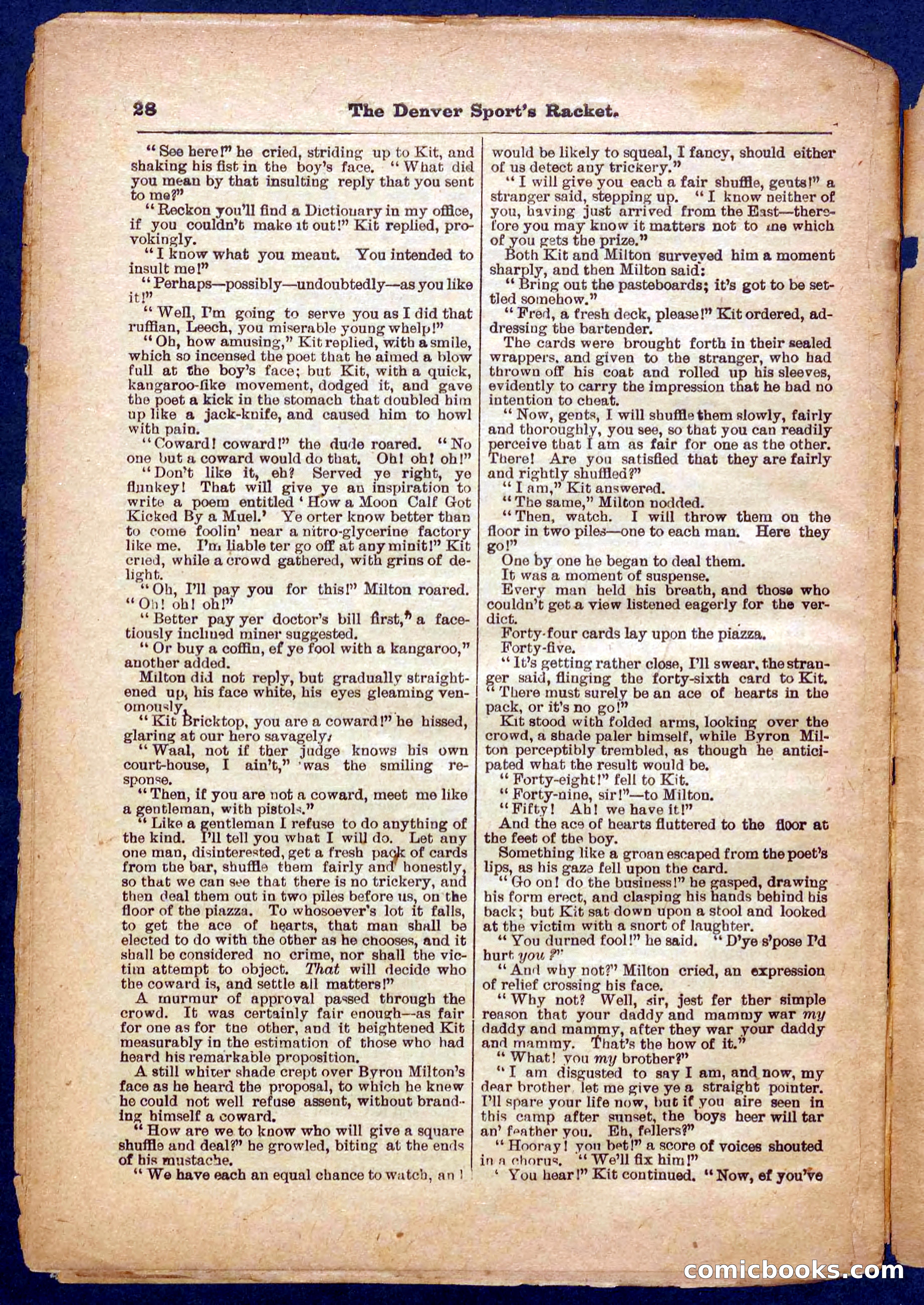Beadle's Pocket Library No. 330 — page 28 of 32