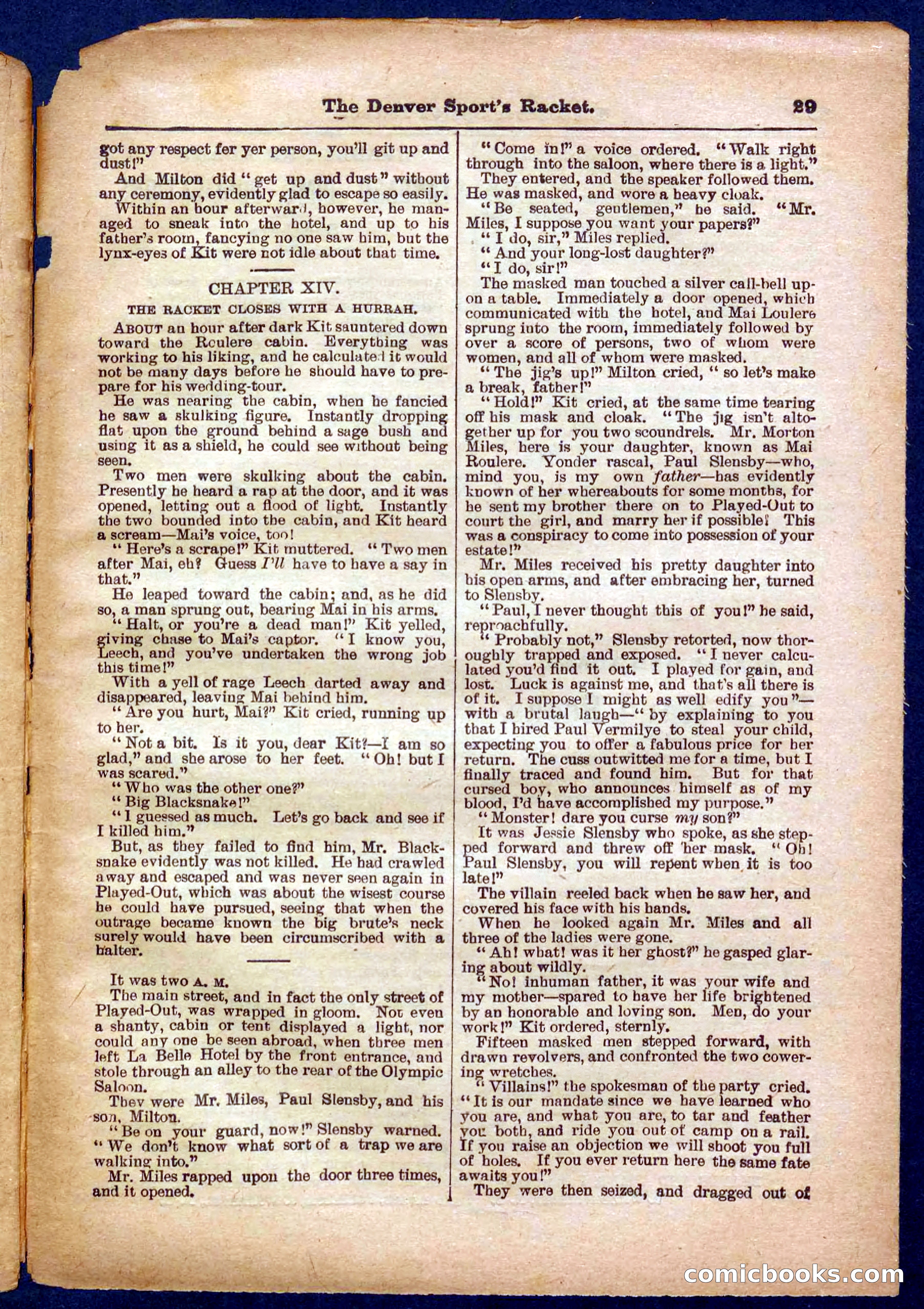 Beadle's Pocket Library No. 330 — page 29 of 32