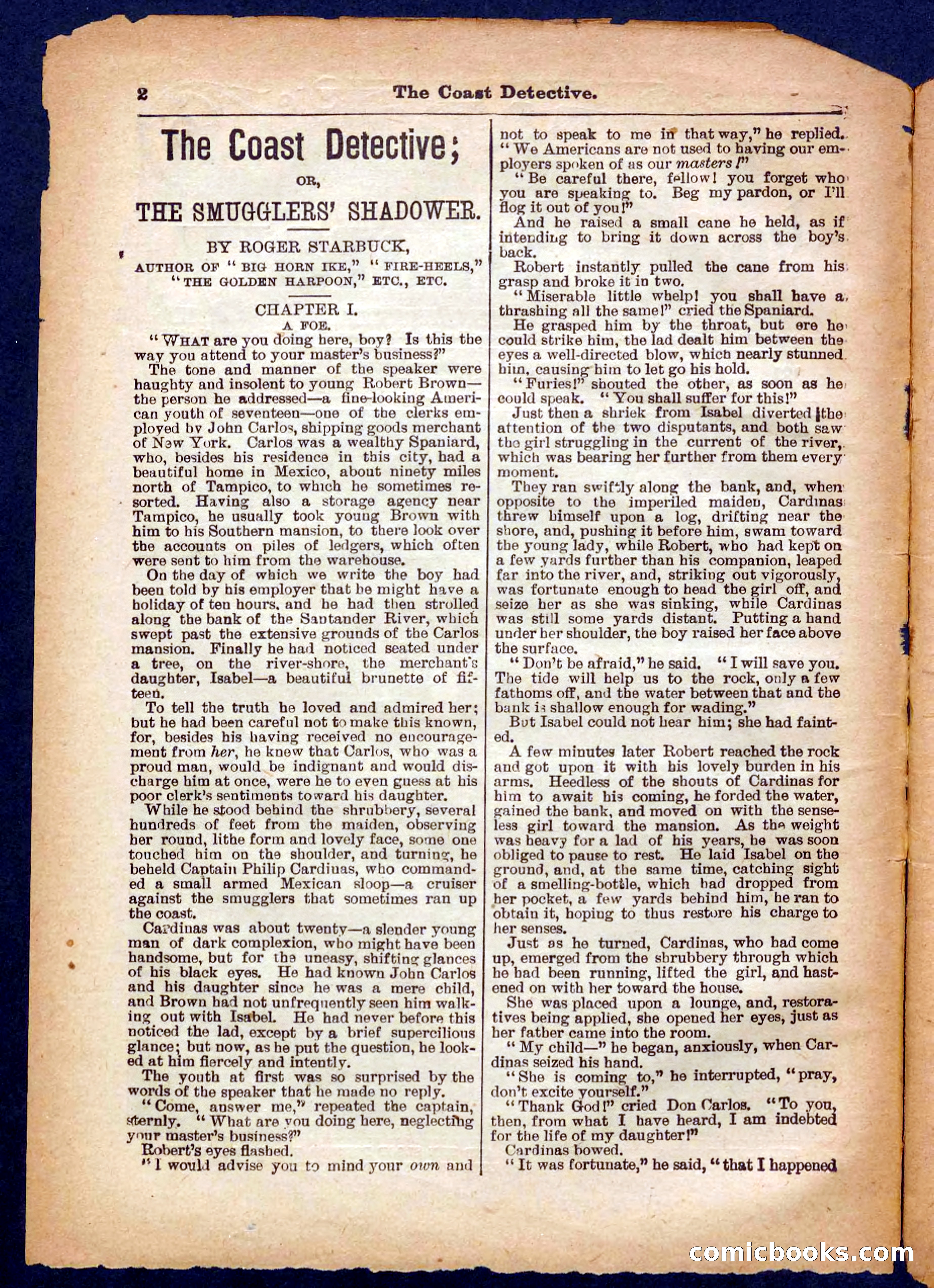 Beadle's Pocket Library No. 331 — page 2 of 32