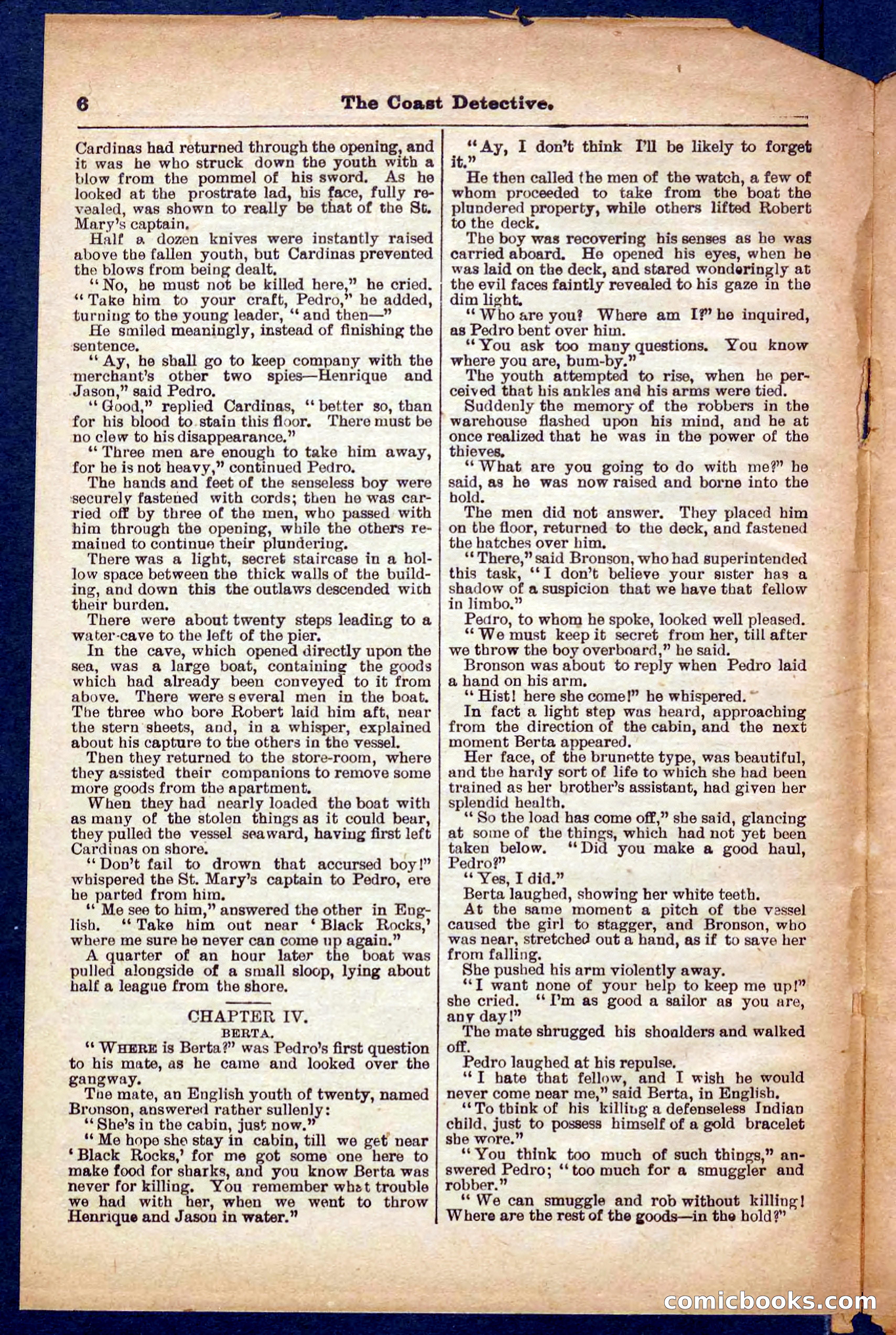 Beadle's Pocket Library No. 331 — page 6 of 32