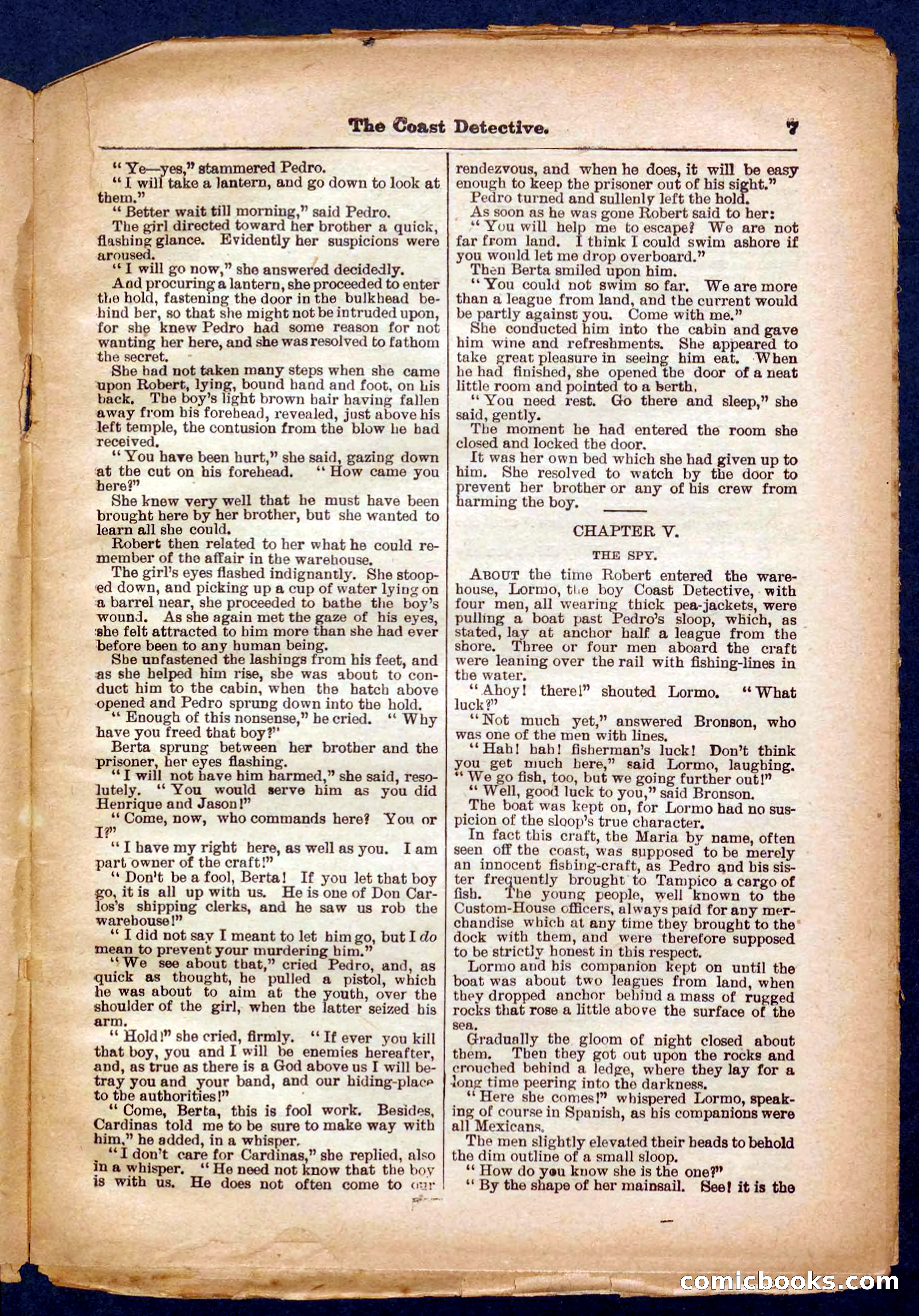 Beadle's Pocket Library No. 331 — page 7 of 32