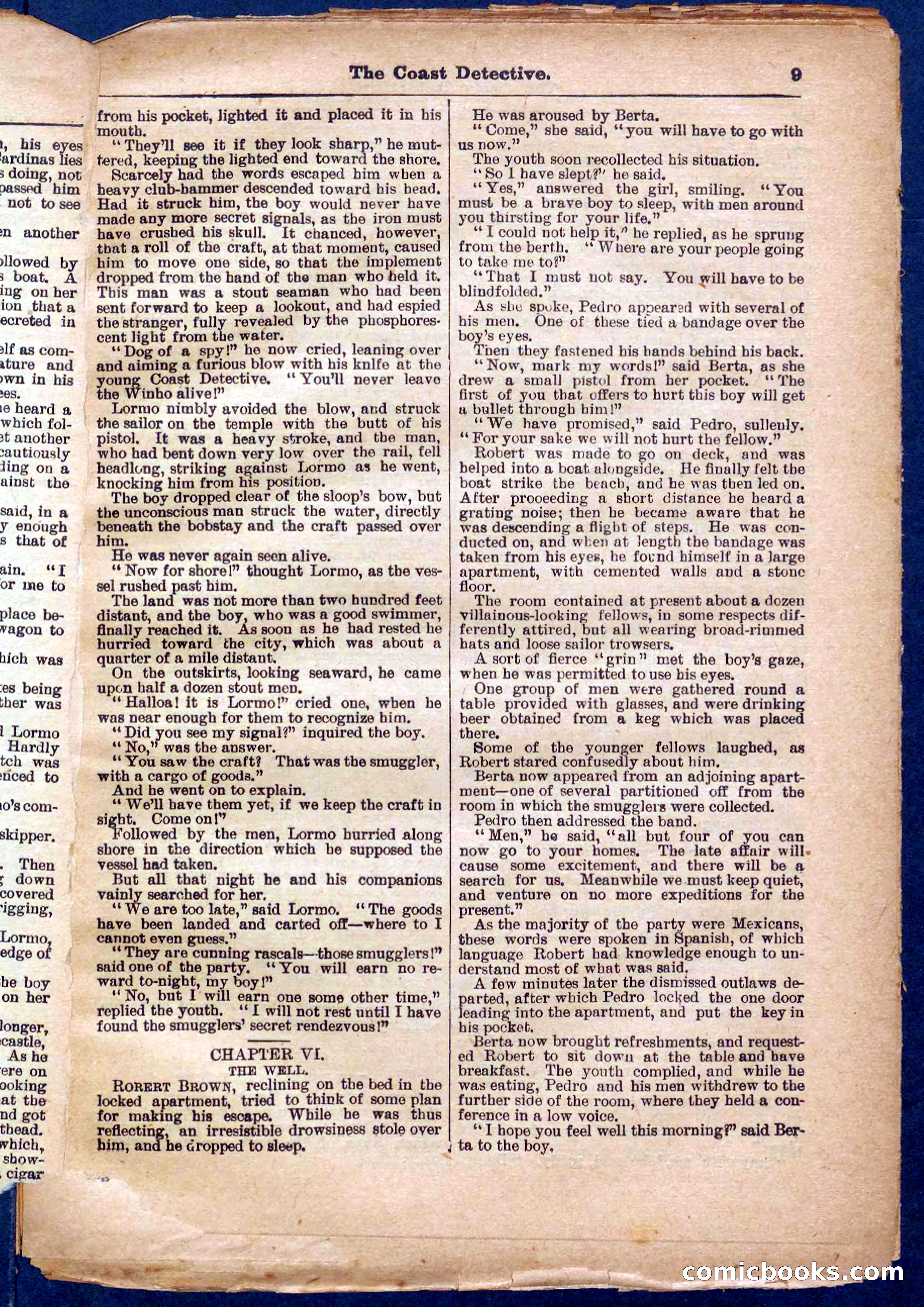 Beadle's Pocket Library No. 331 — page 9 of 32