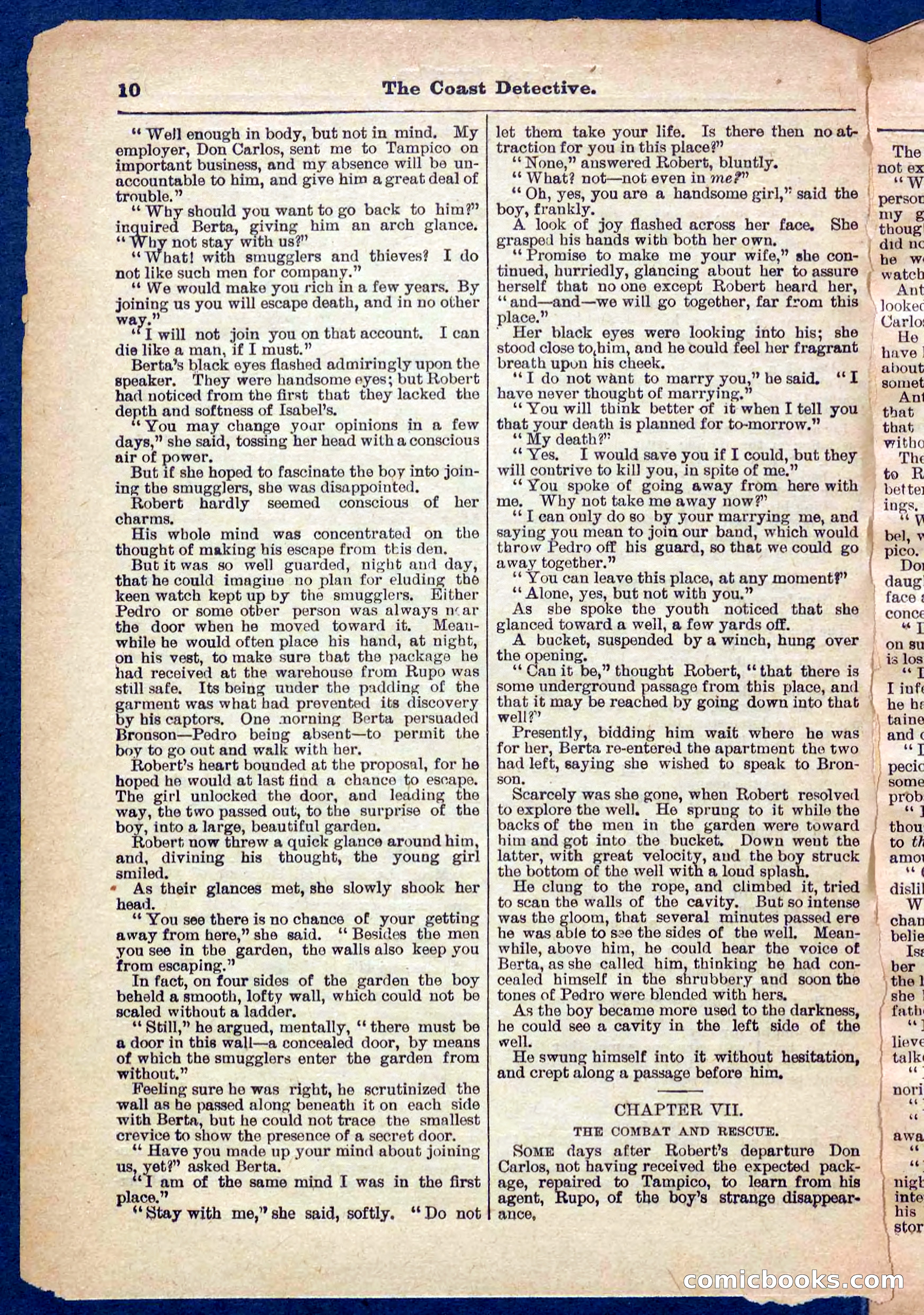 Beadle's Pocket Library No. 331 — page 10 of 32
