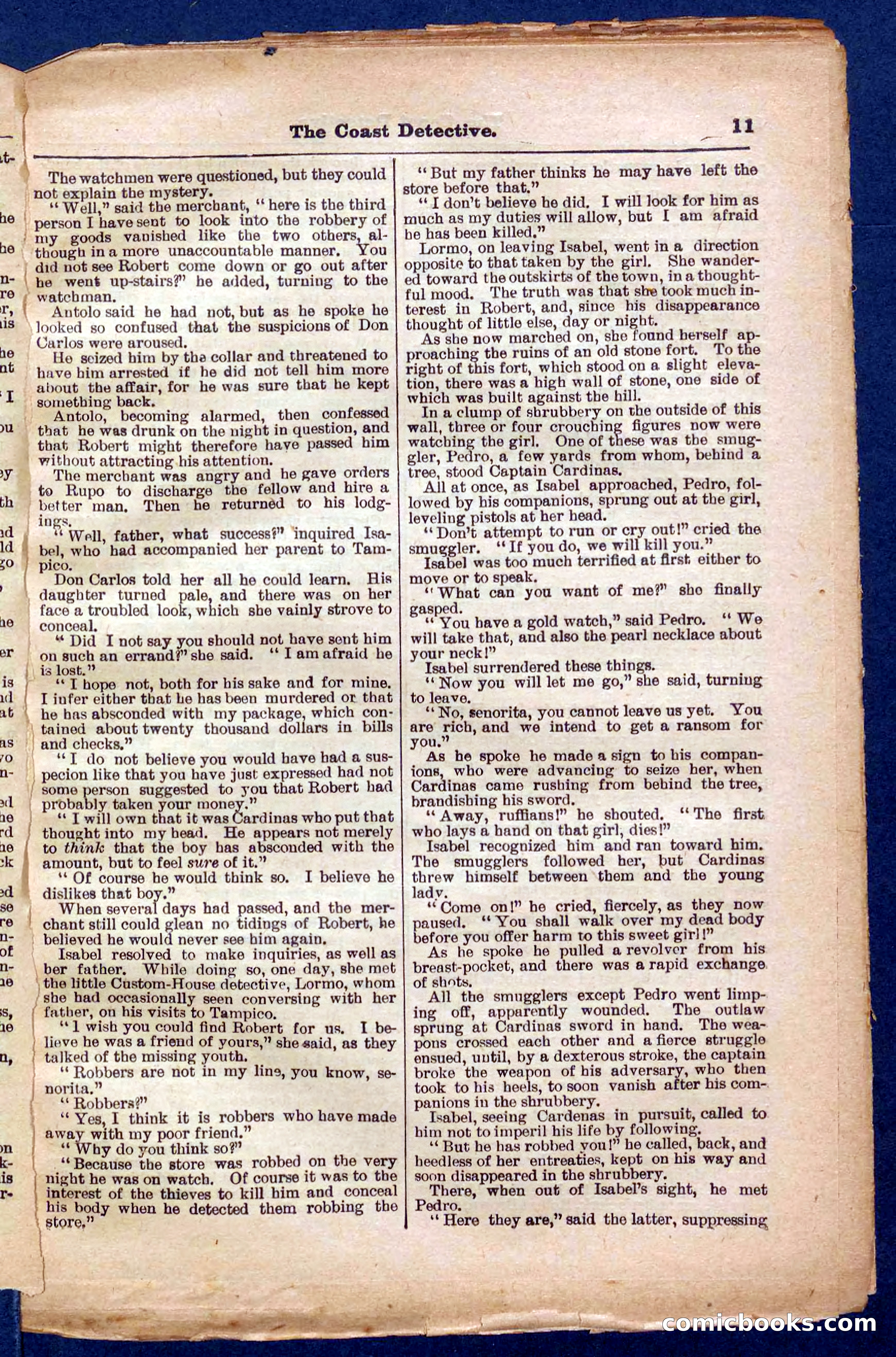 Beadle's Pocket Library No. 331 — page 11 of 32