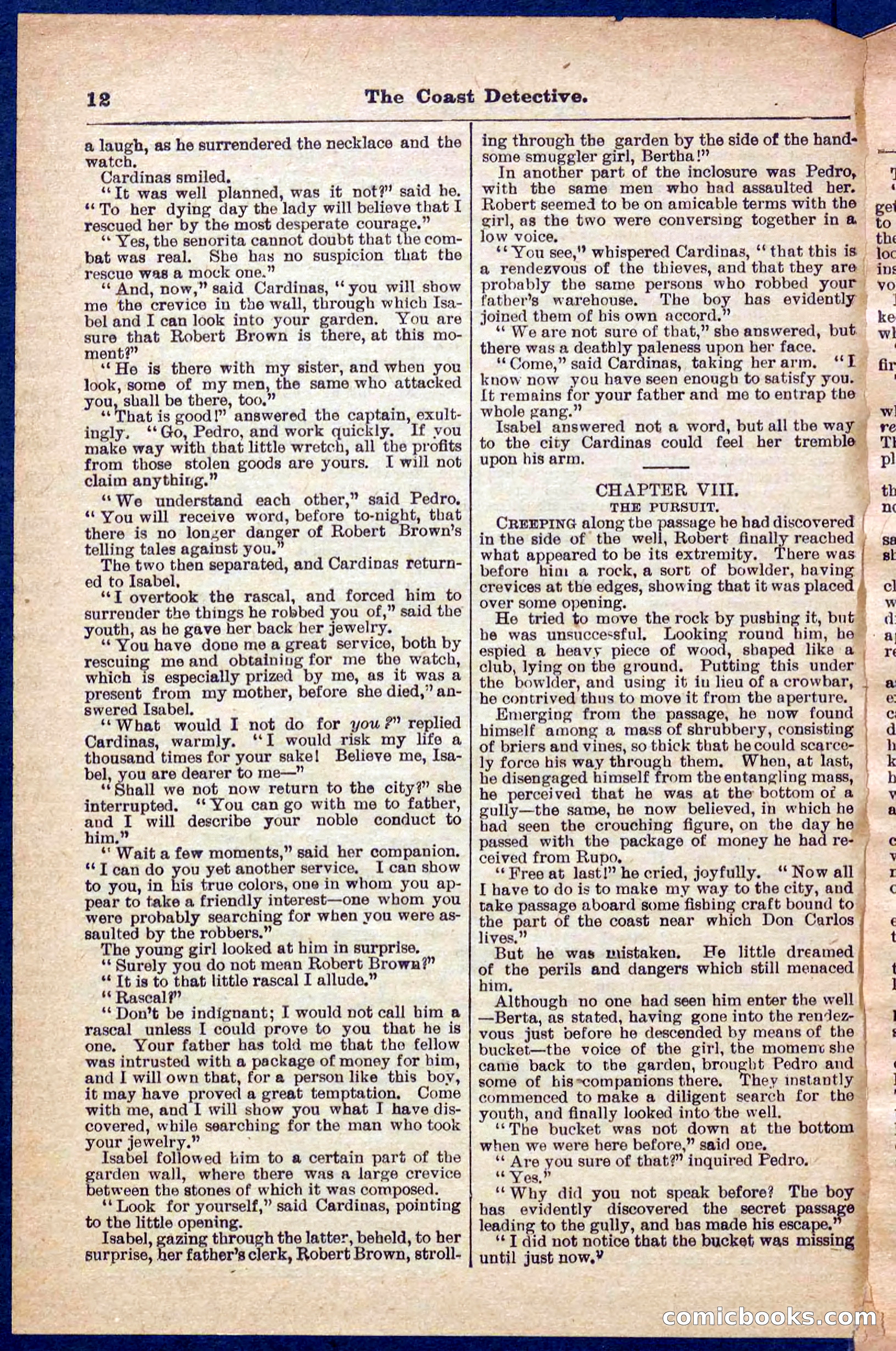 Beadle's Pocket Library No. 331 — page 12 of 32