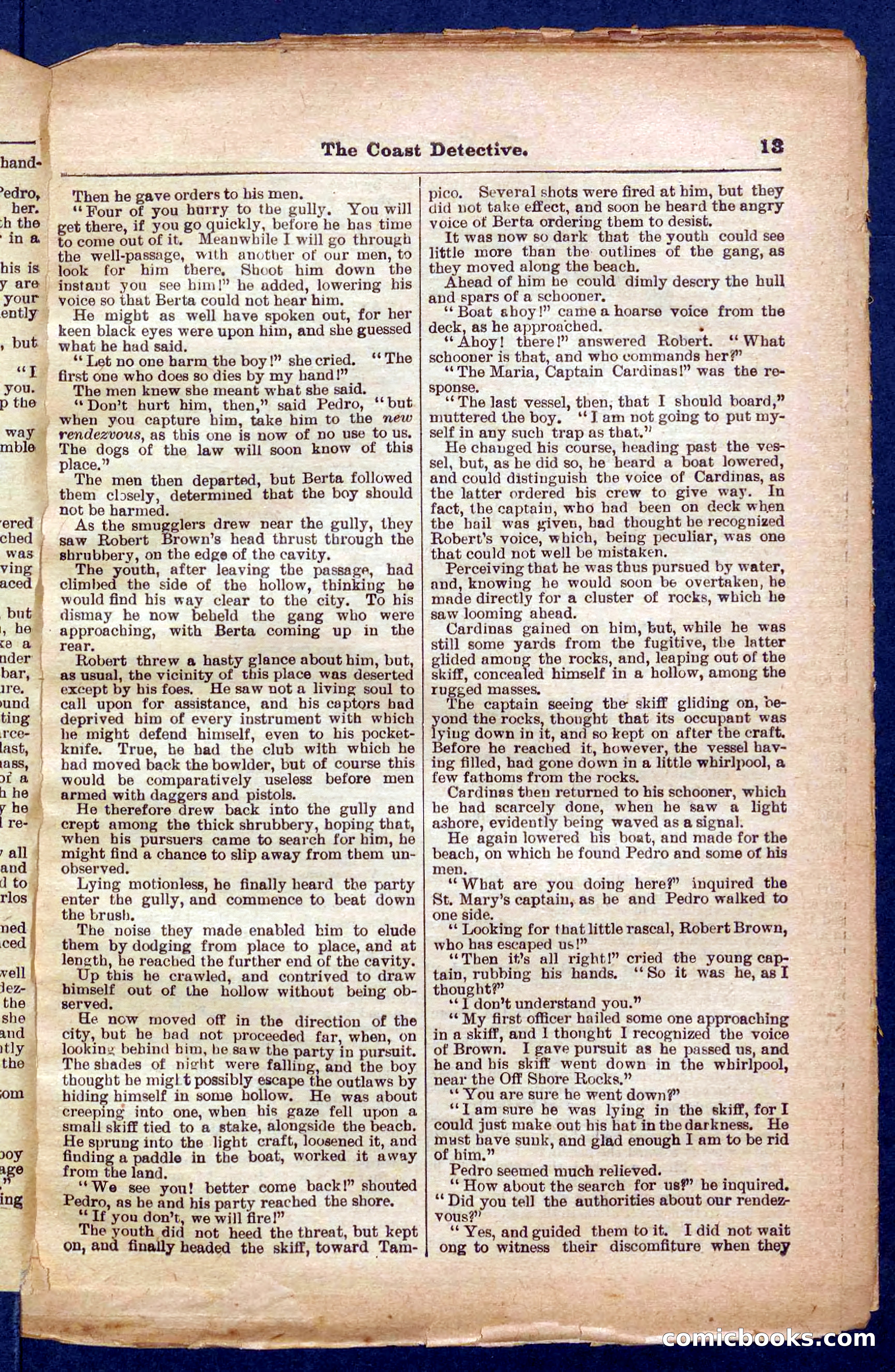 Beadle's Pocket Library No. 331 — page 13 of 32