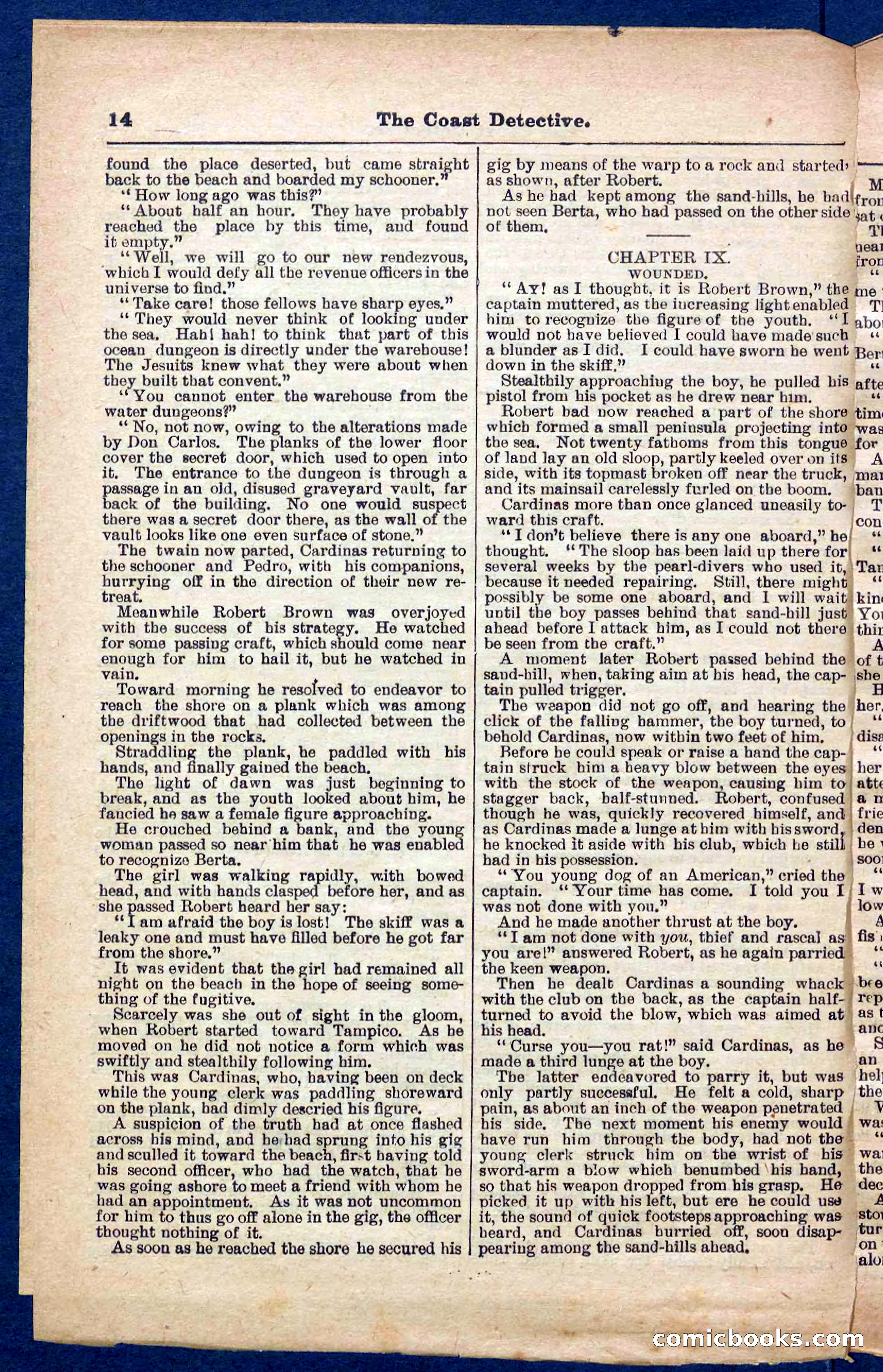 Beadle's Pocket Library No. 331 — page 14 of 32