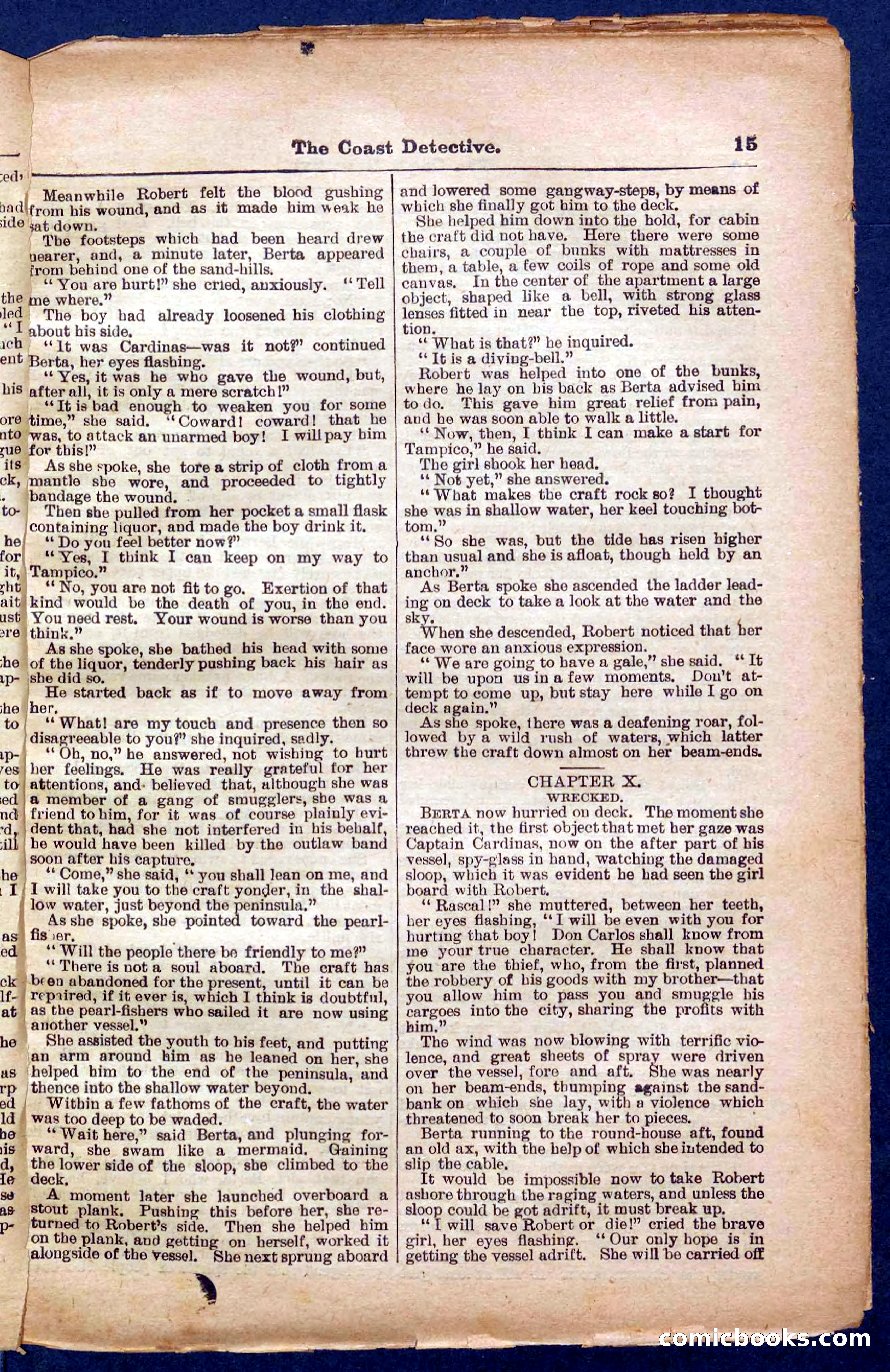 Beadle's Pocket Library No. 331 — page 15 of 32
