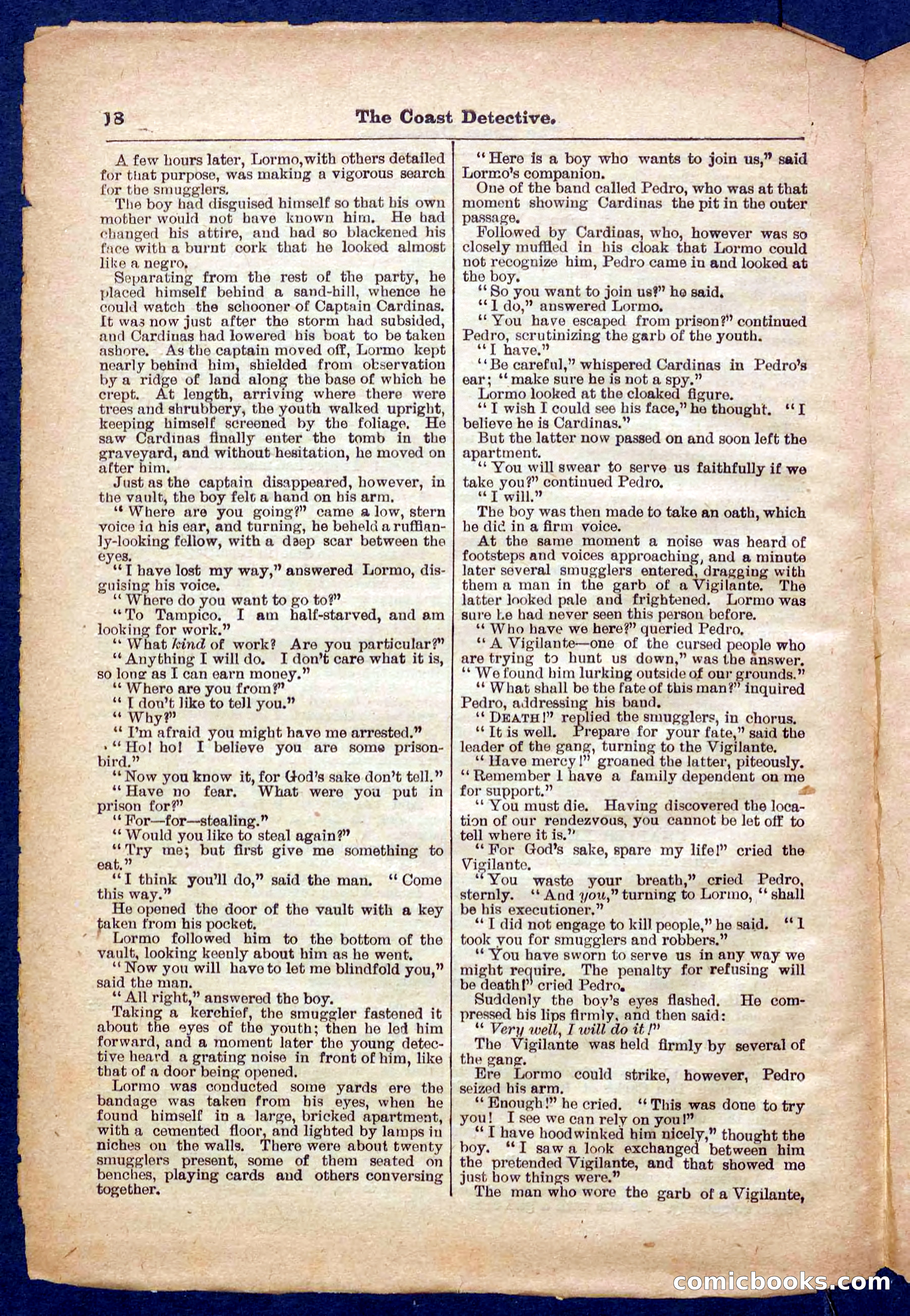 Beadle's Pocket Library No. 331 — page 18 of 32