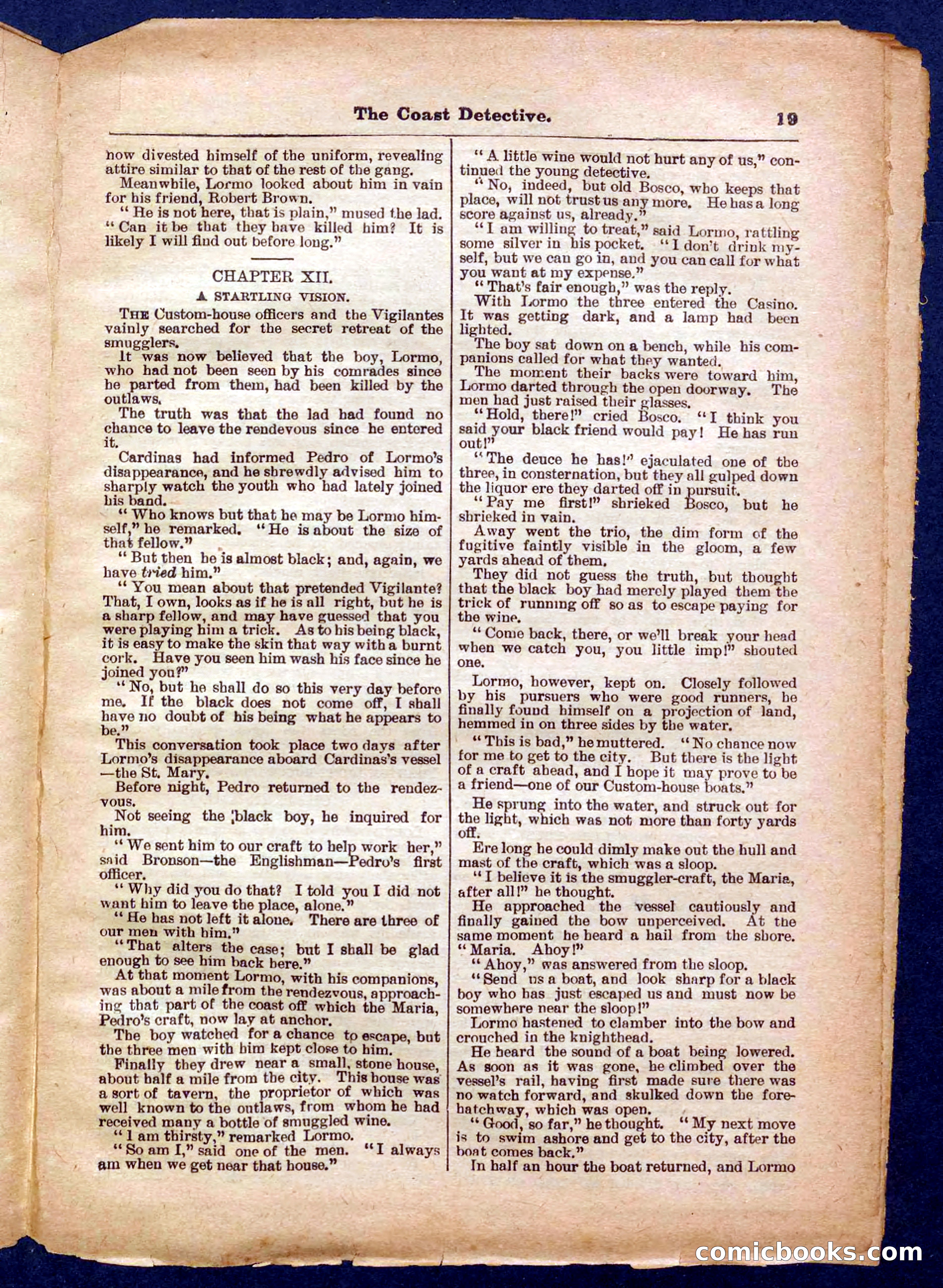 Beadle's Pocket Library No. 331 — page 19 of 32