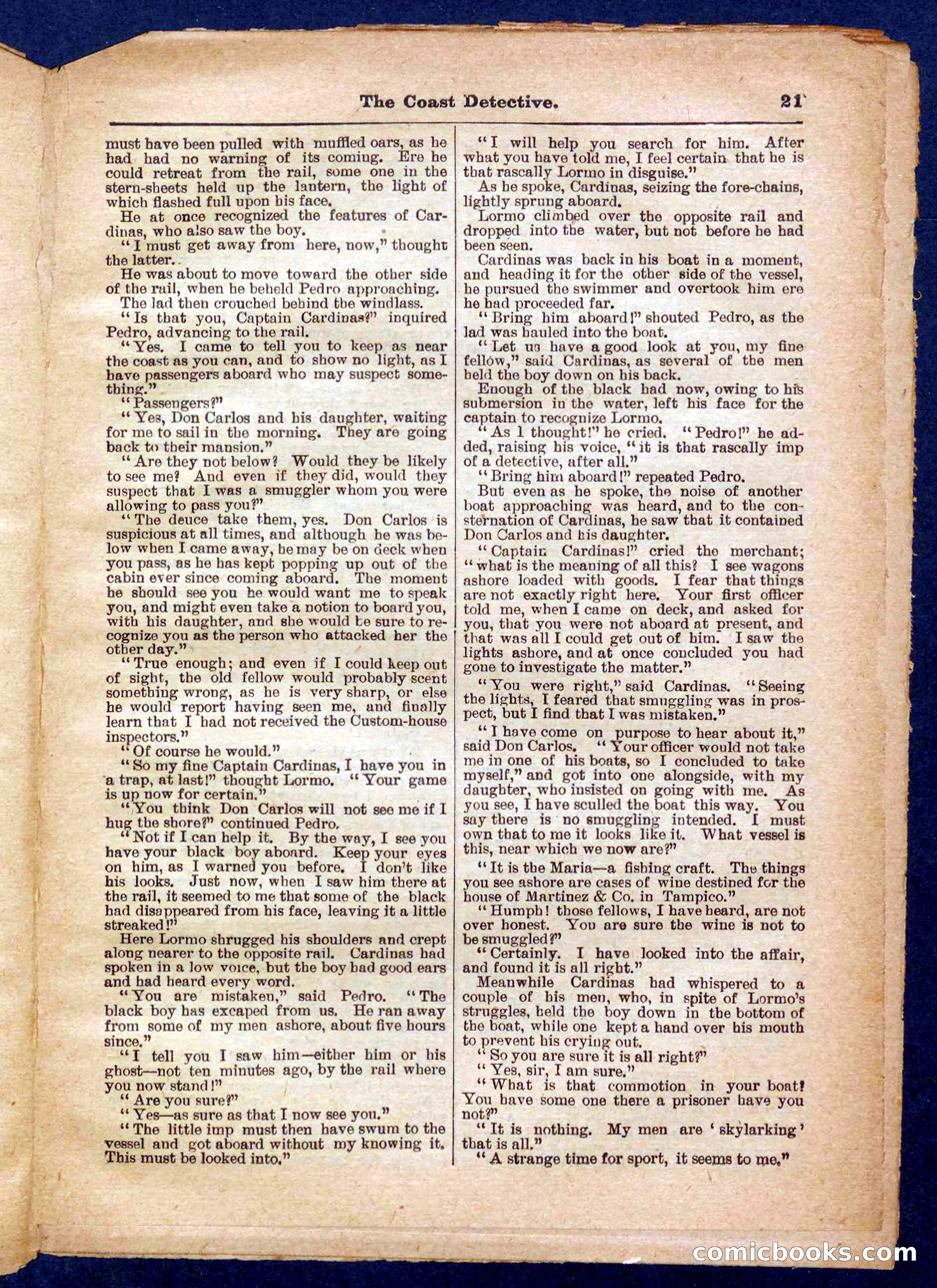Beadle's Pocket Library No. 331 — page 21 of 32