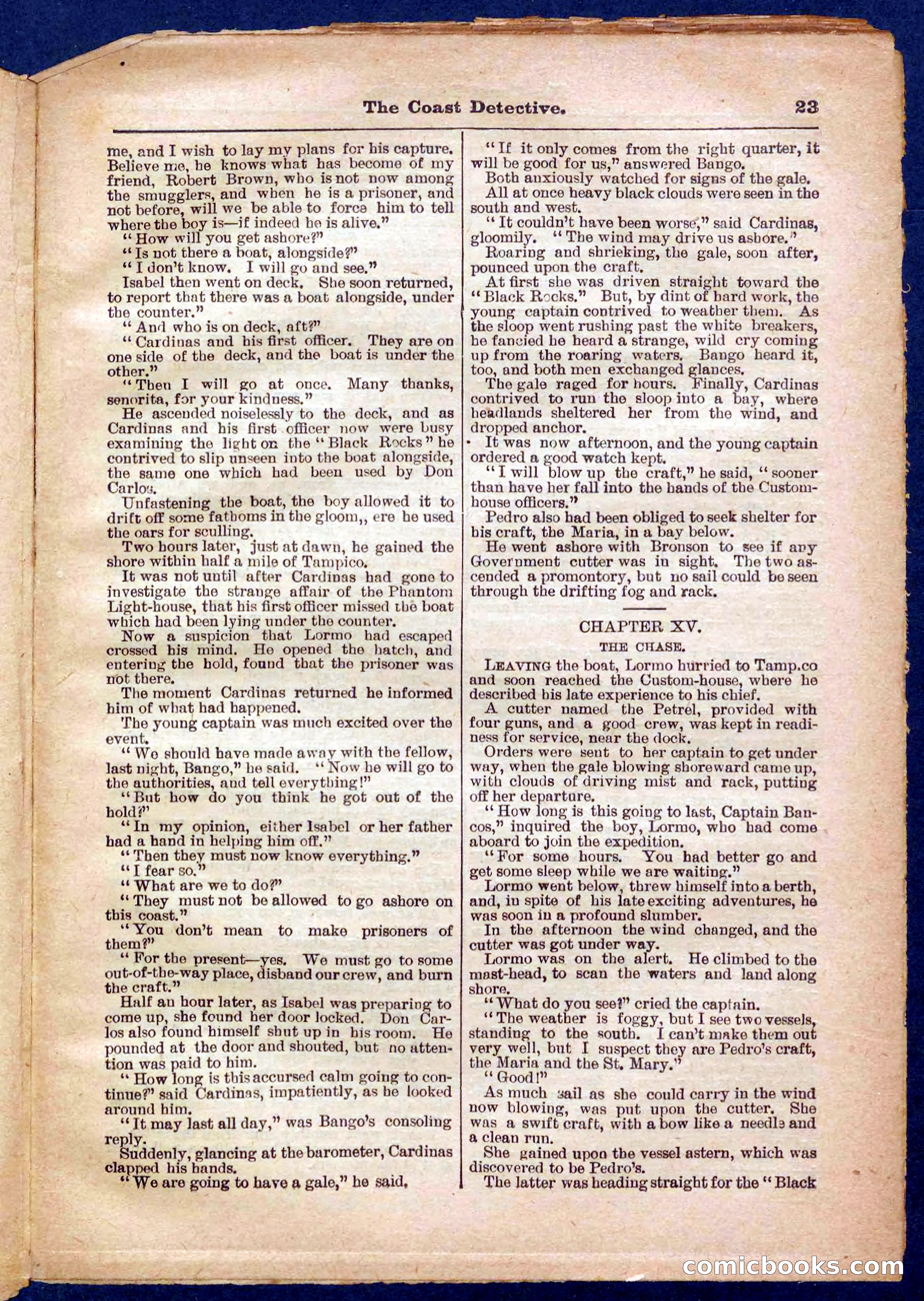 Beadle's Pocket Library No. 331 — page 23 of 32