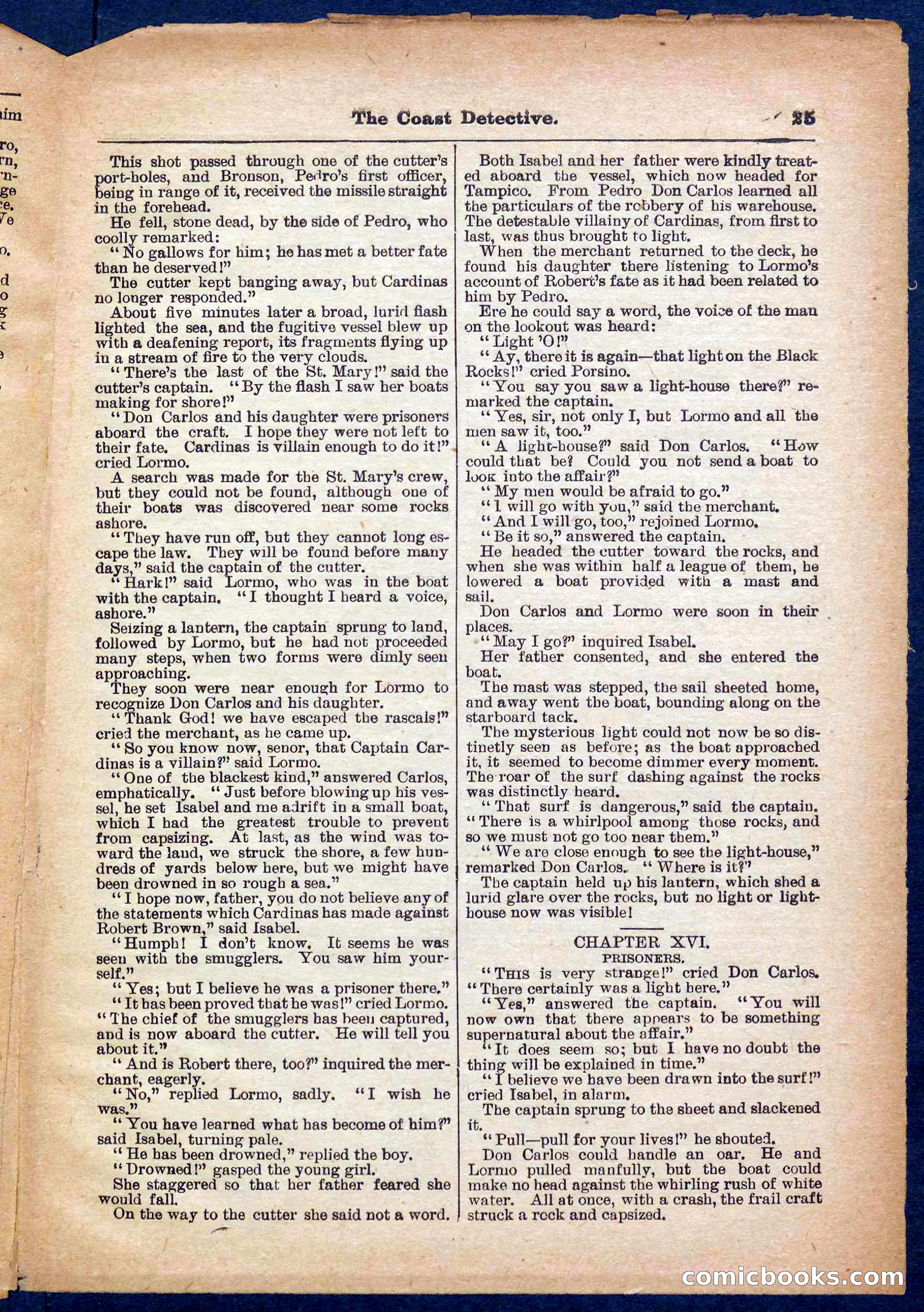 Beadle's Pocket Library No. 331 — page 25 of 32
