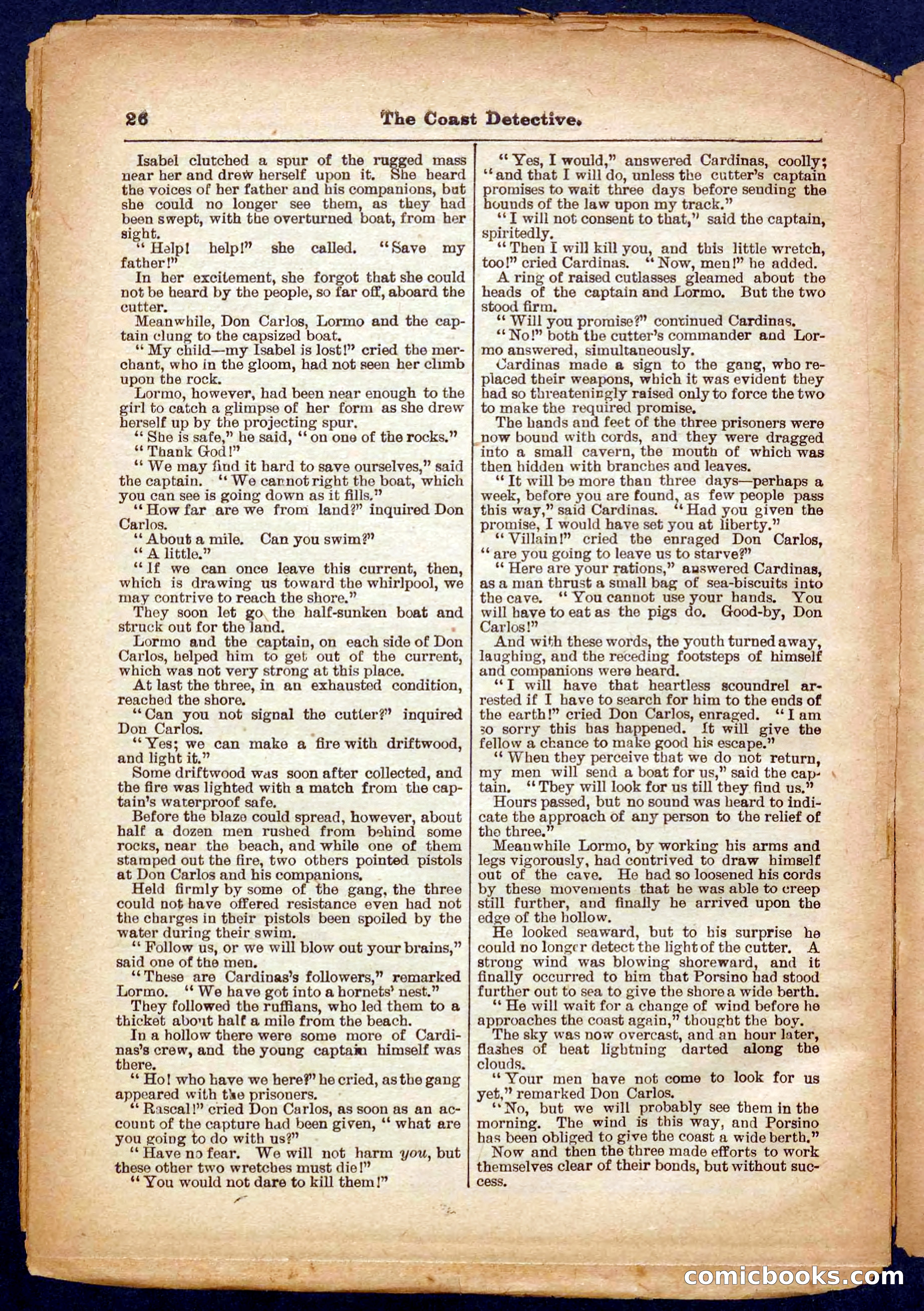 Beadle's Pocket Library No. 331 — page 26 of 32