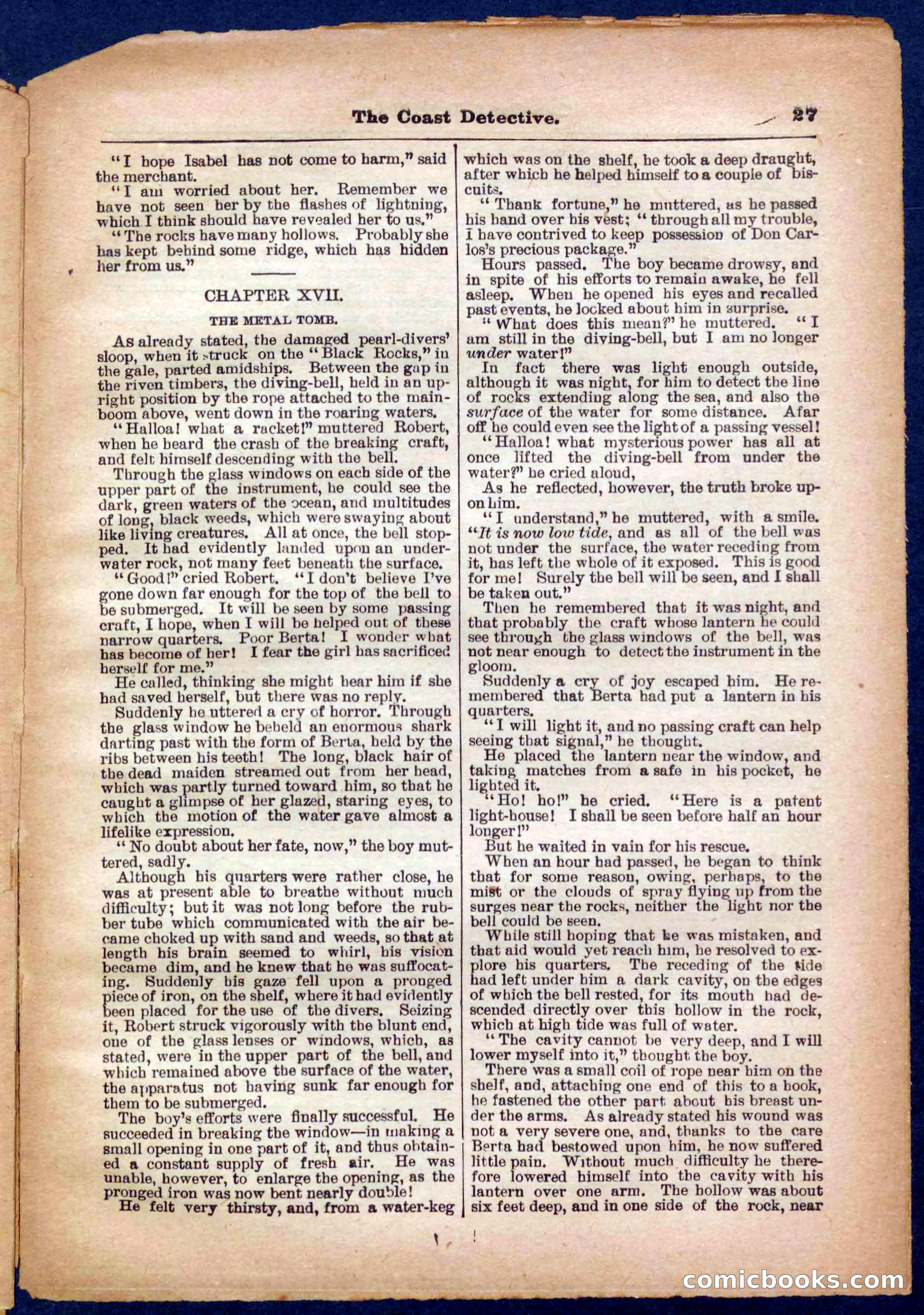 Beadle's Pocket Library No. 331 — page 27 of 32