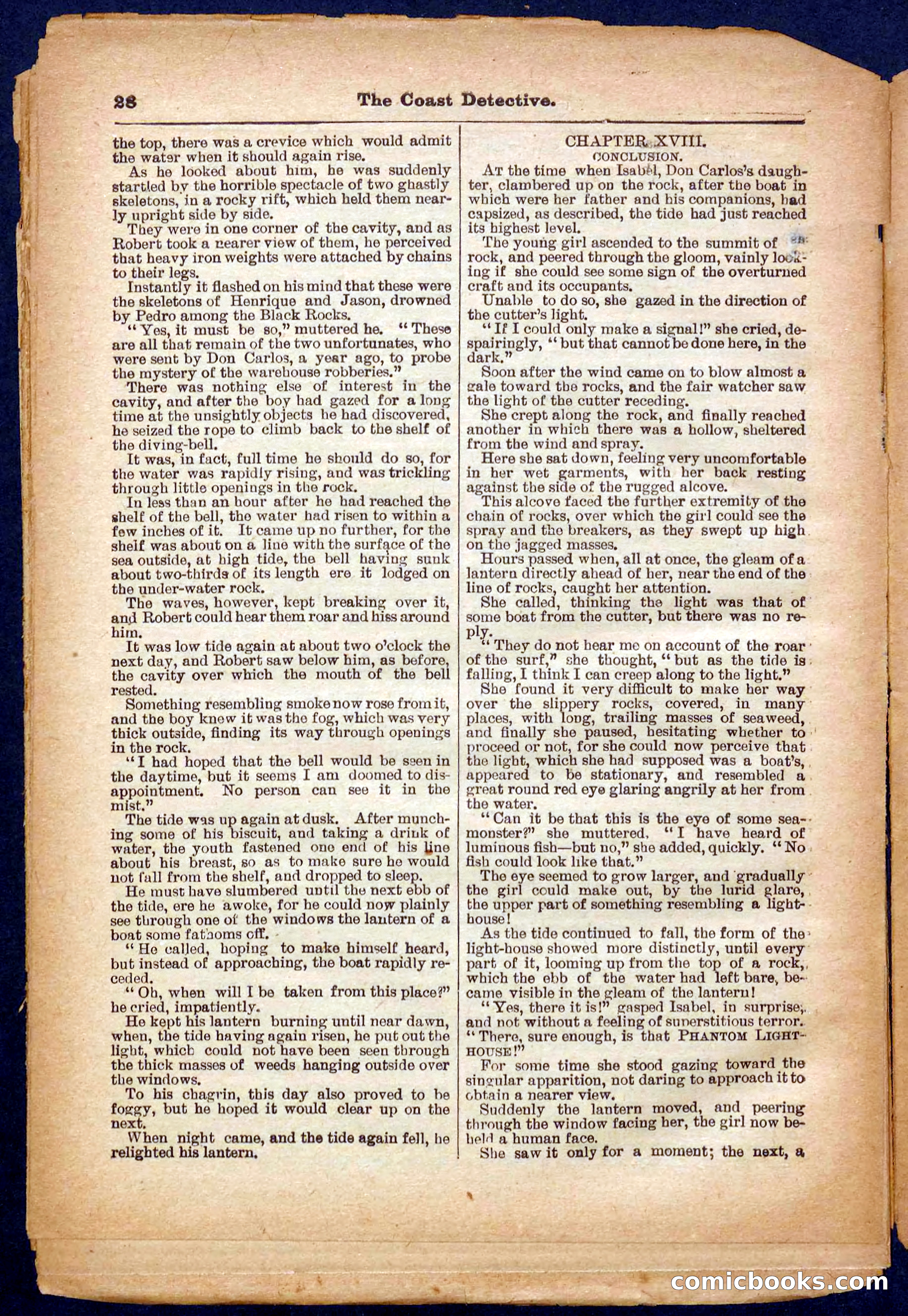 Beadle's Pocket Library No. 331 — page 28 of 32