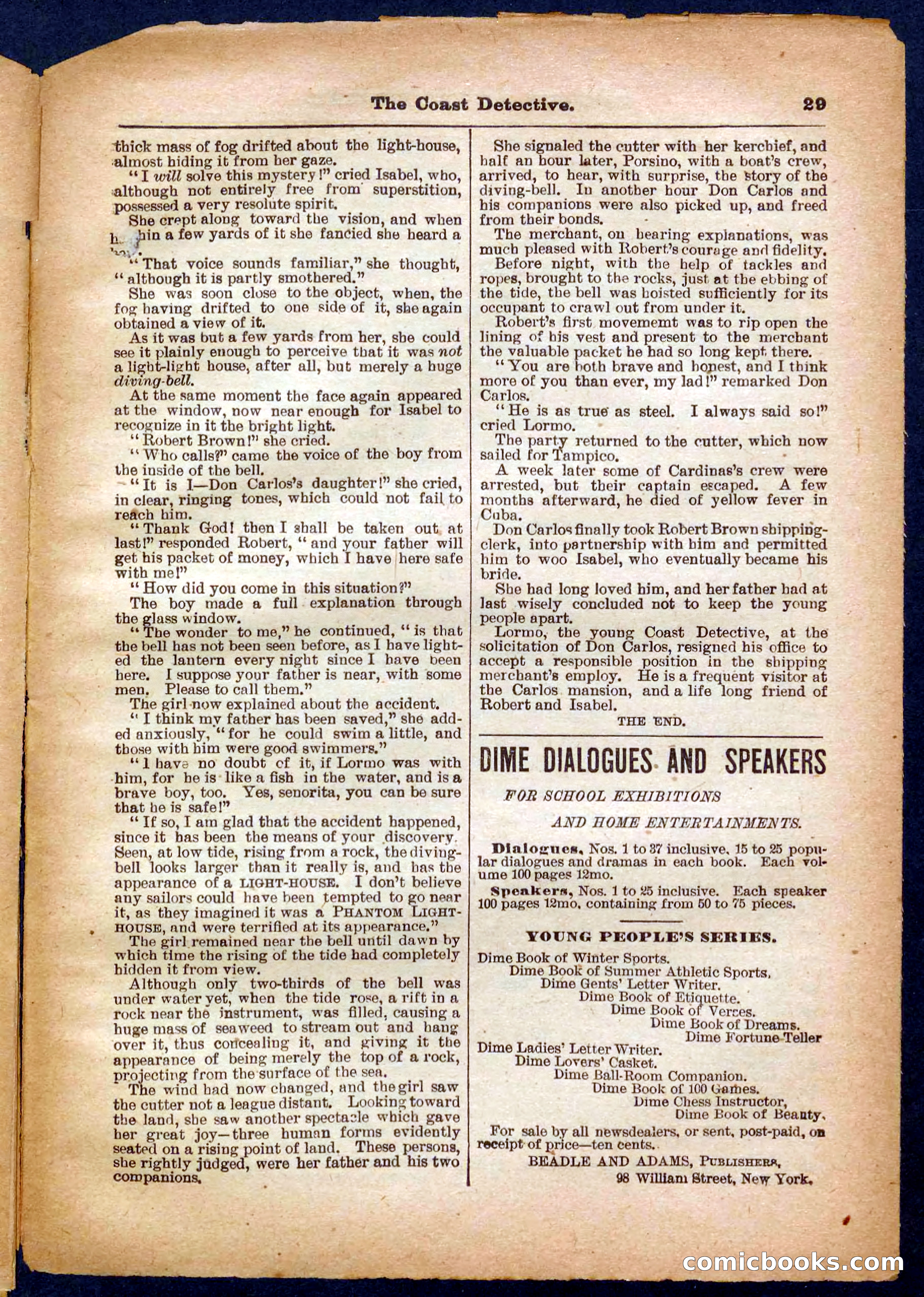 Beadle's Pocket Library No. 331 — page 29 of 32