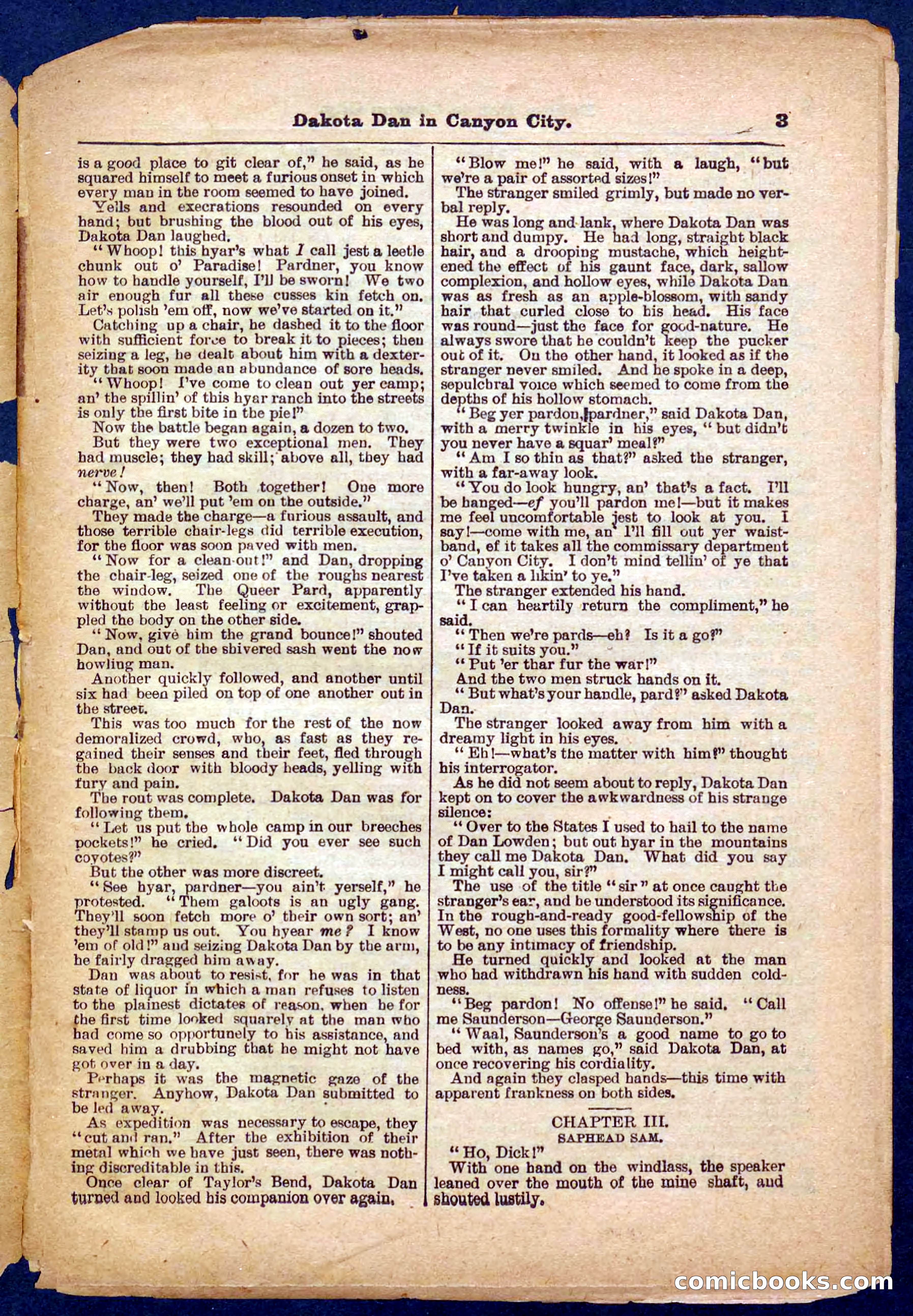 Beadle's Pocket Library No. 332 — page 3 of 32