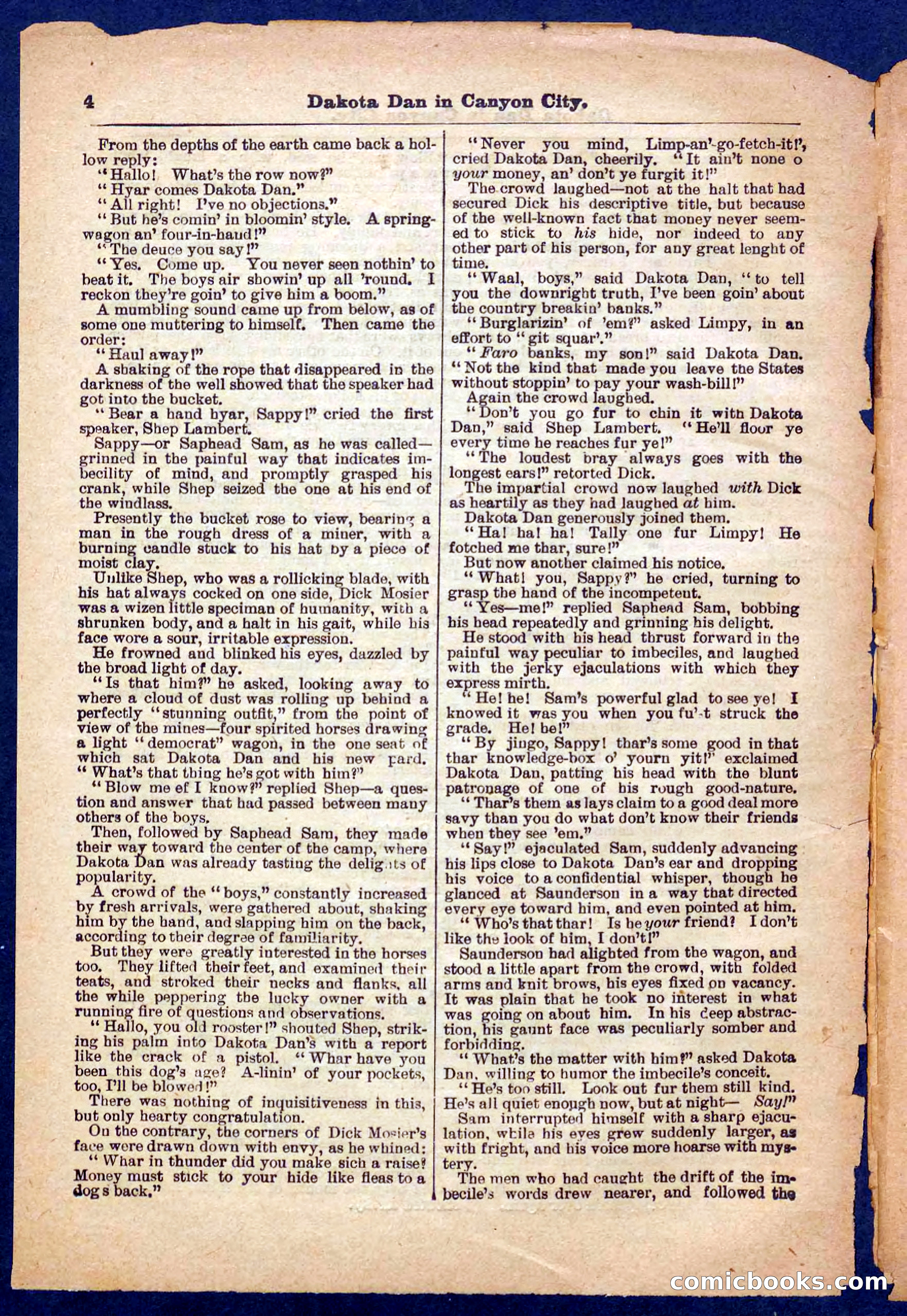 Beadle's Pocket Library No. 332 — page 4 of 32