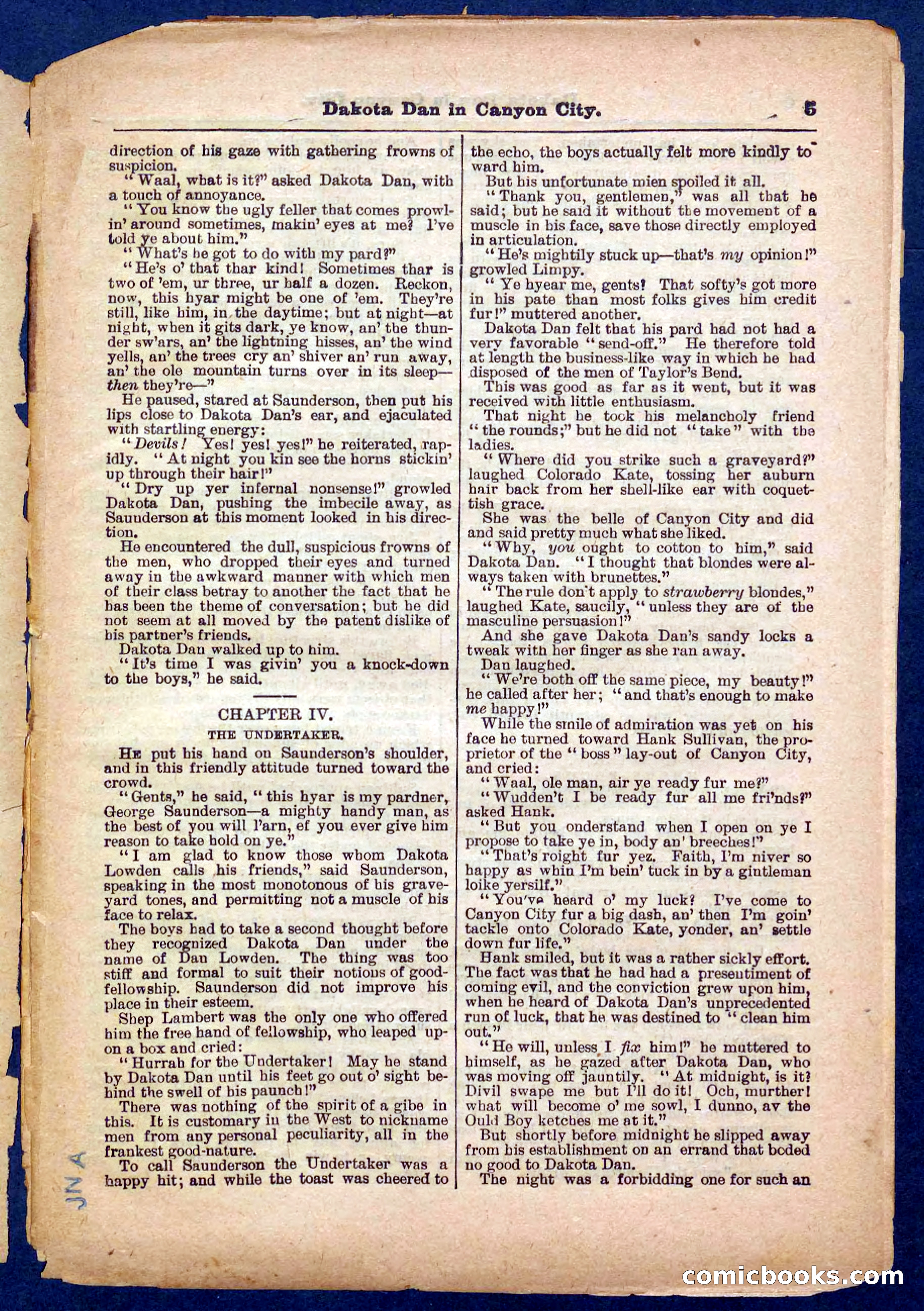 Beadle's Pocket Library No. 332 — page 5 of 32