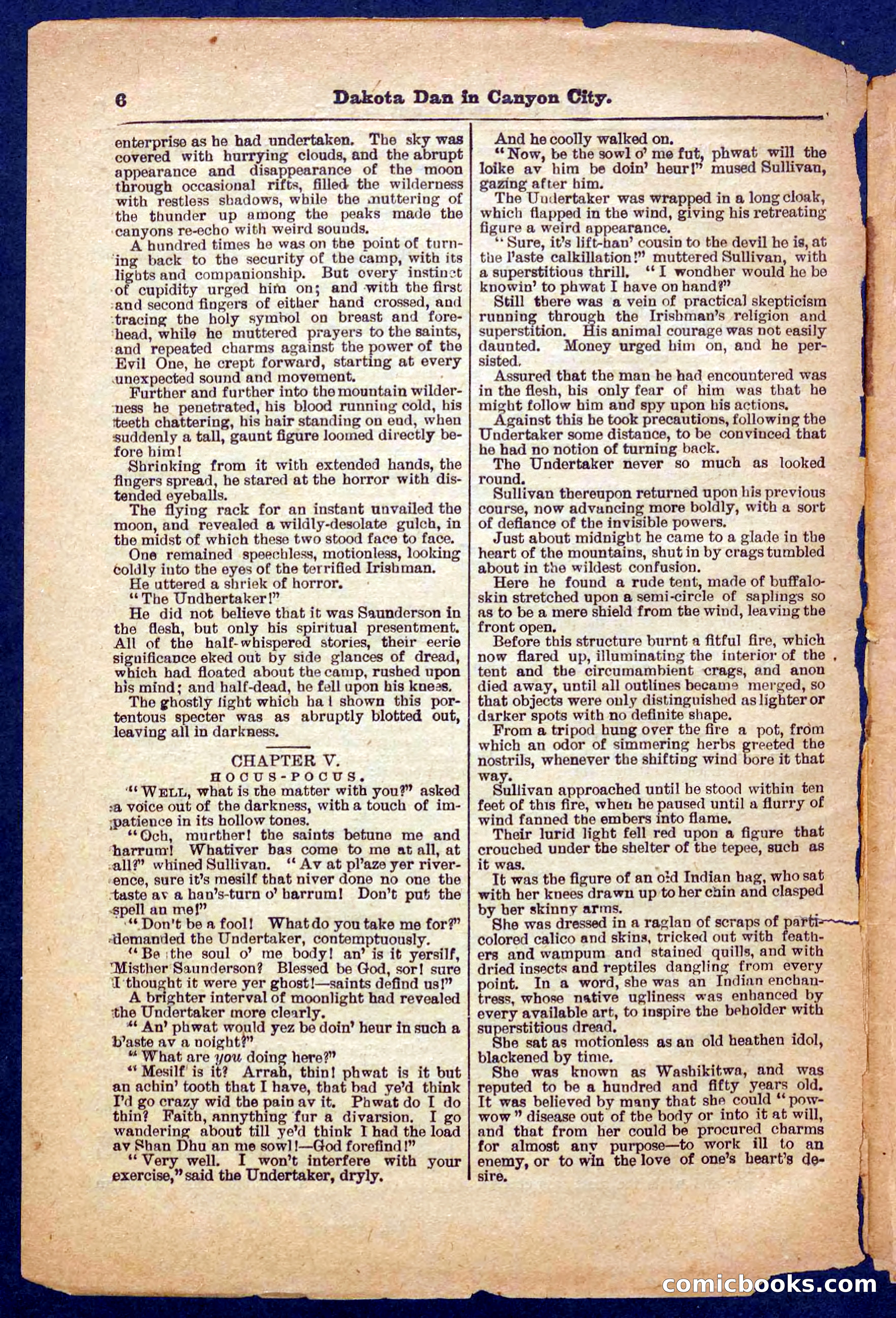 Beadle's Pocket Library No. 332 — page 6 of 32