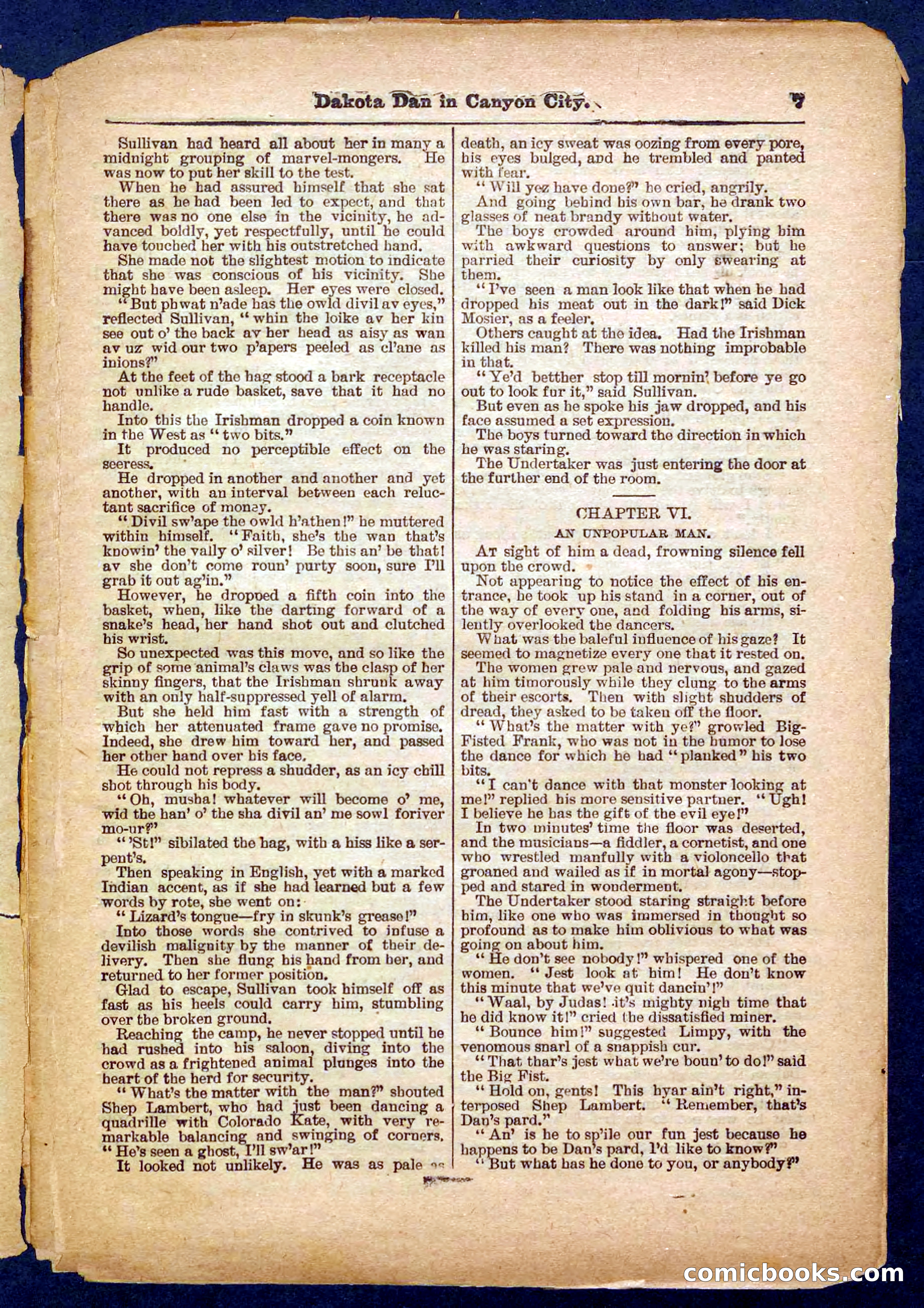 Beadle's Pocket Library No. 332 — page 7 of 32