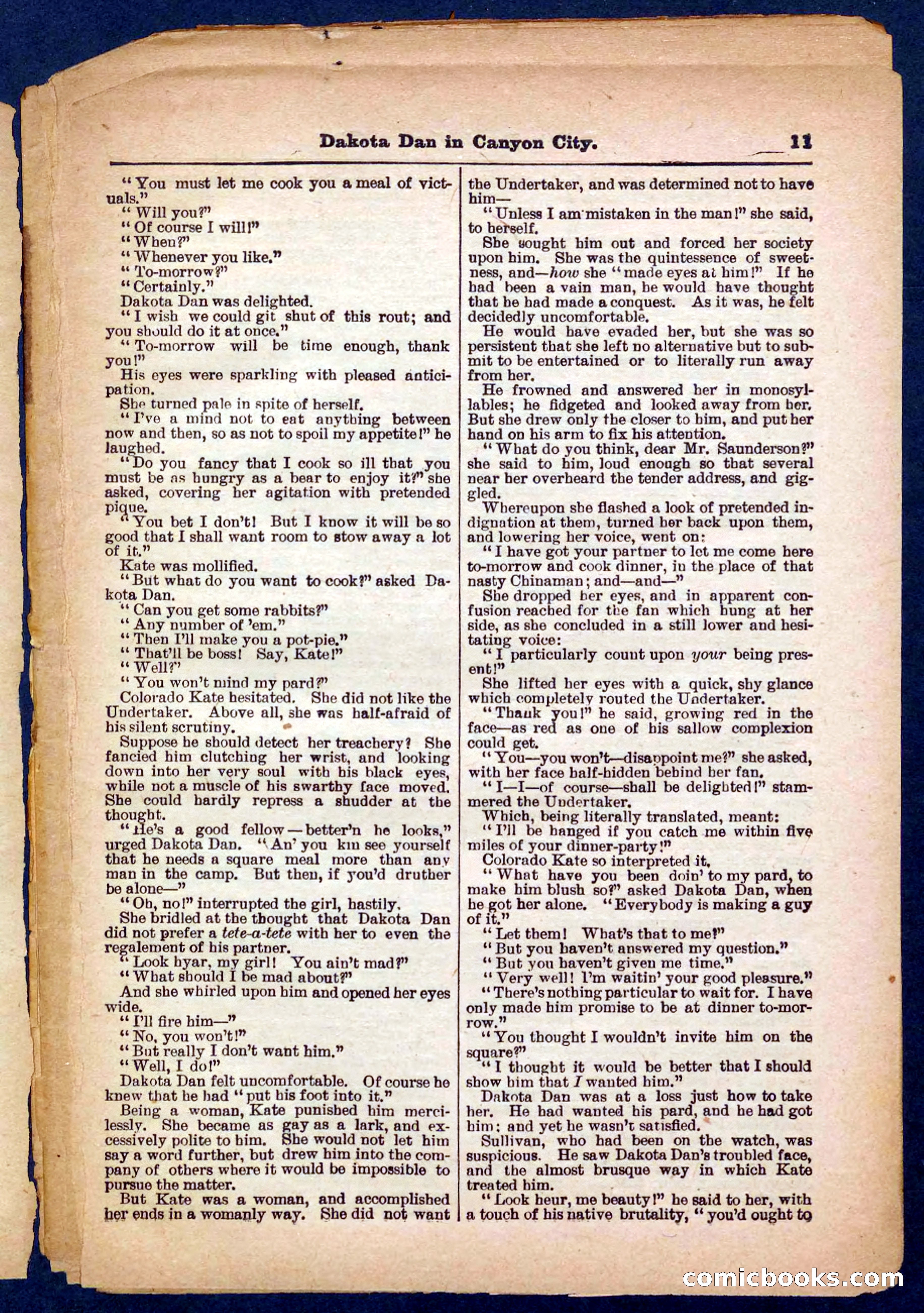 Beadle's Pocket Library No. 332 — page 11 of 32