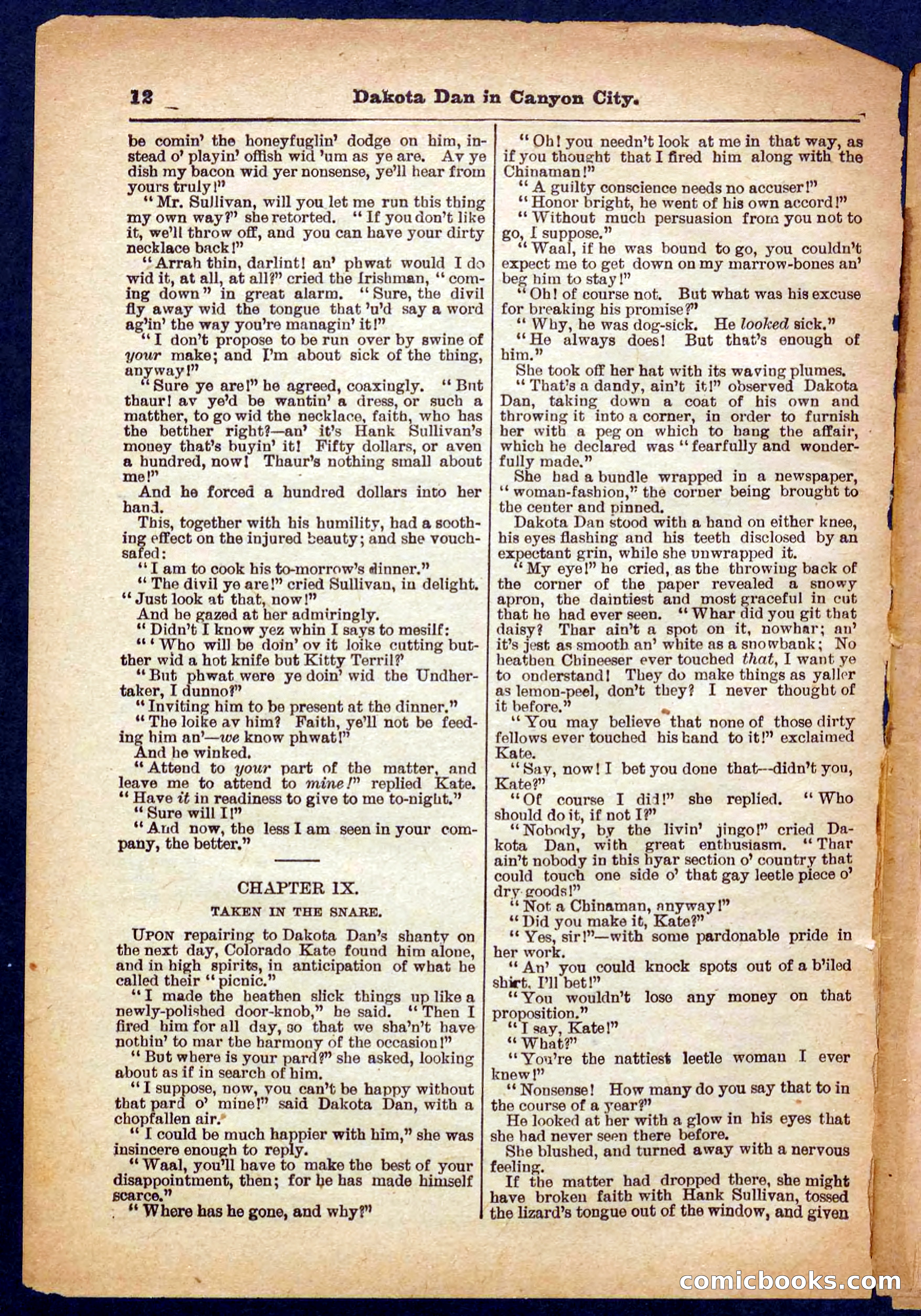 Beadle's Pocket Library No. 332 — page 12 of 32