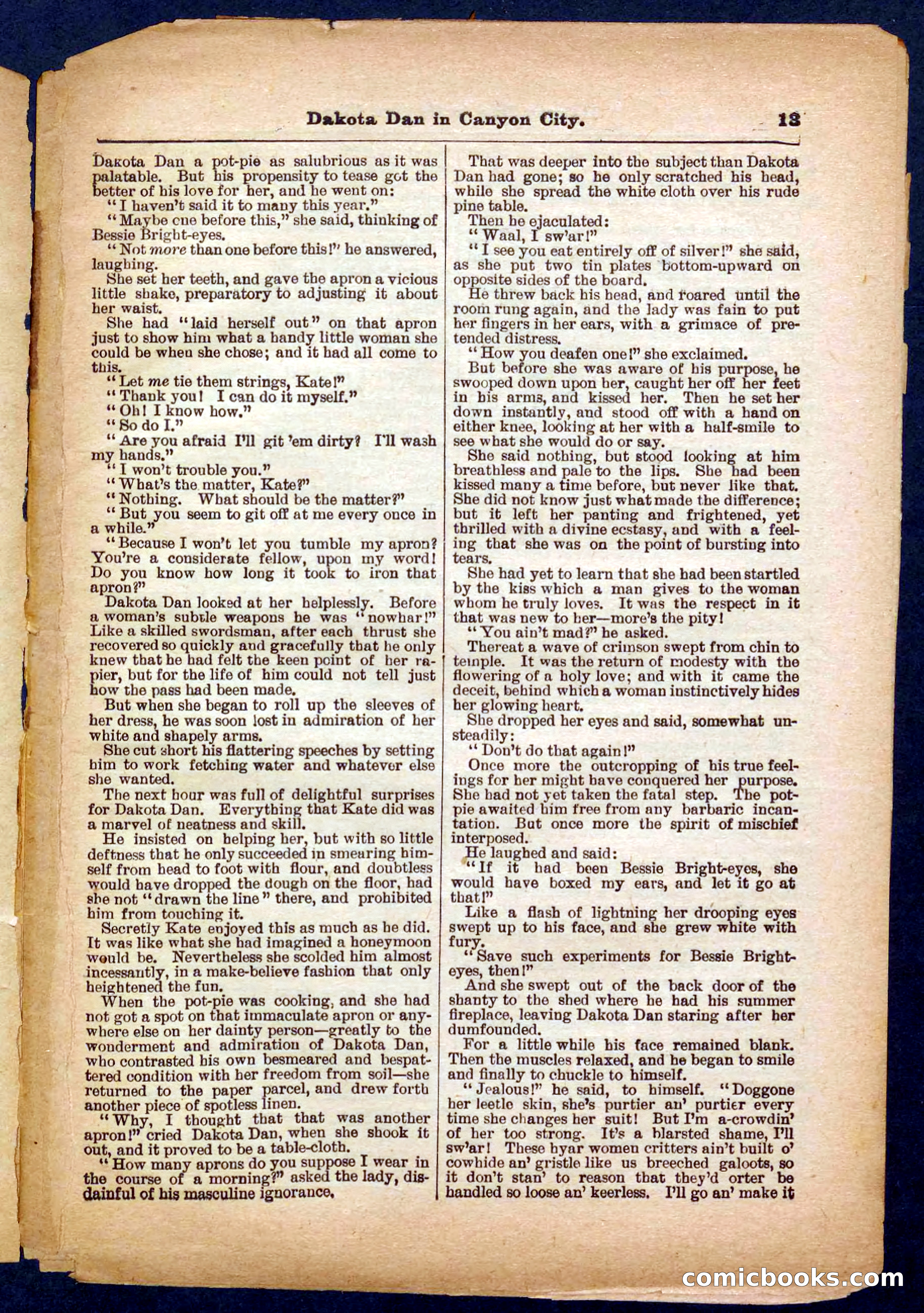 Beadle's Pocket Library No. 332 — page 13 of 32