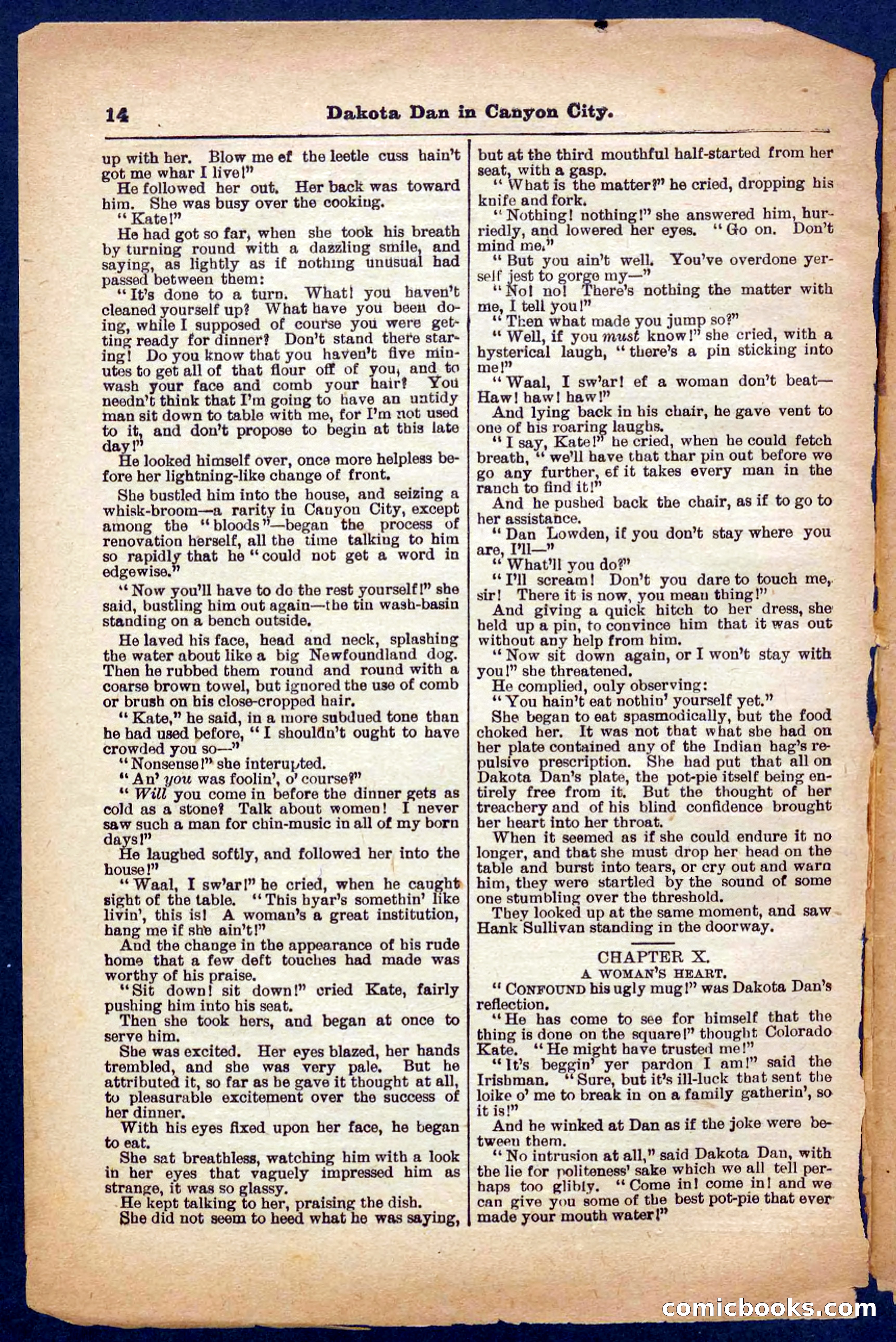 Beadle's Pocket Library No. 332 — page 14 of 32