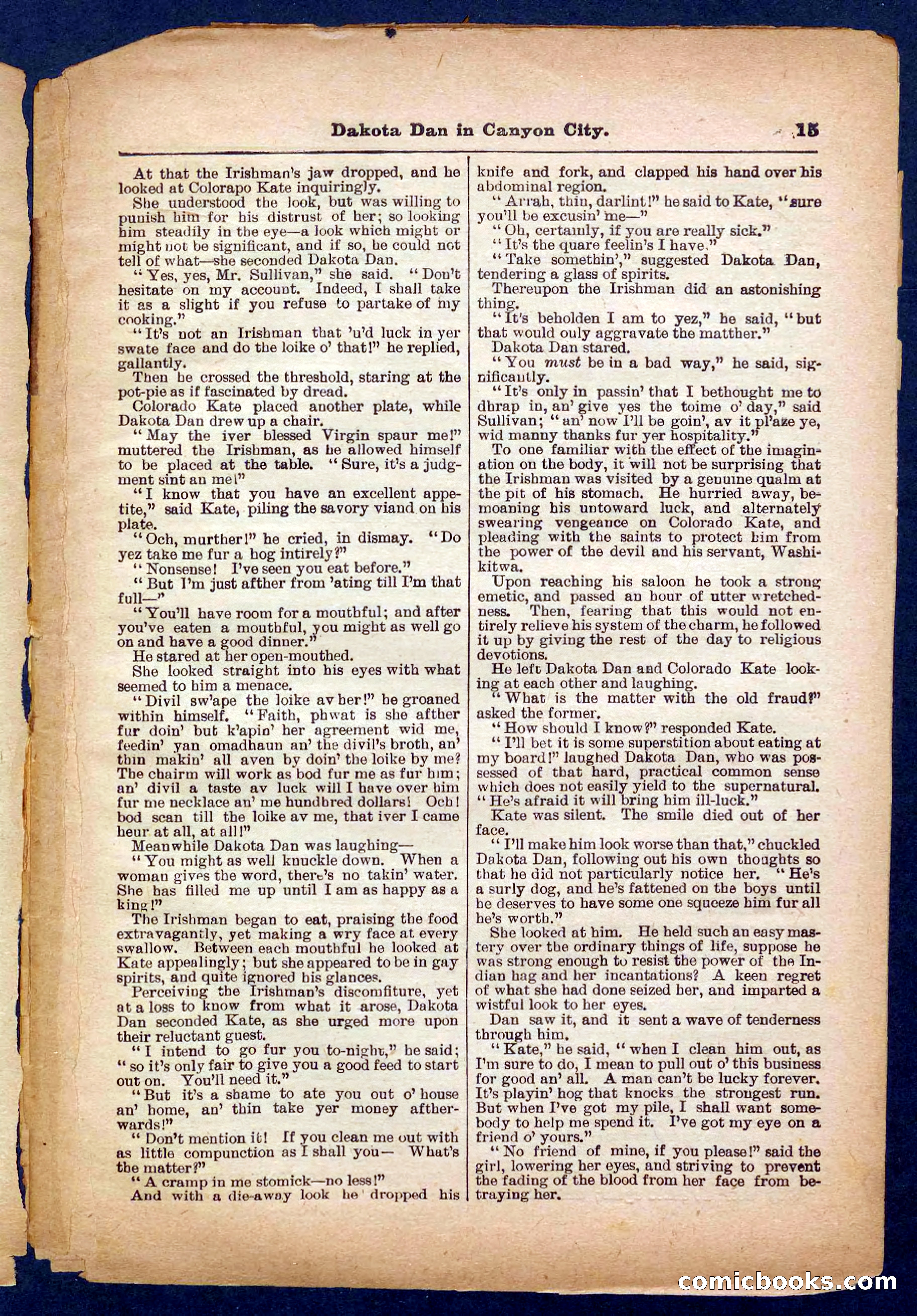 Beadle's Pocket Library No. 332 — page 15 of 32