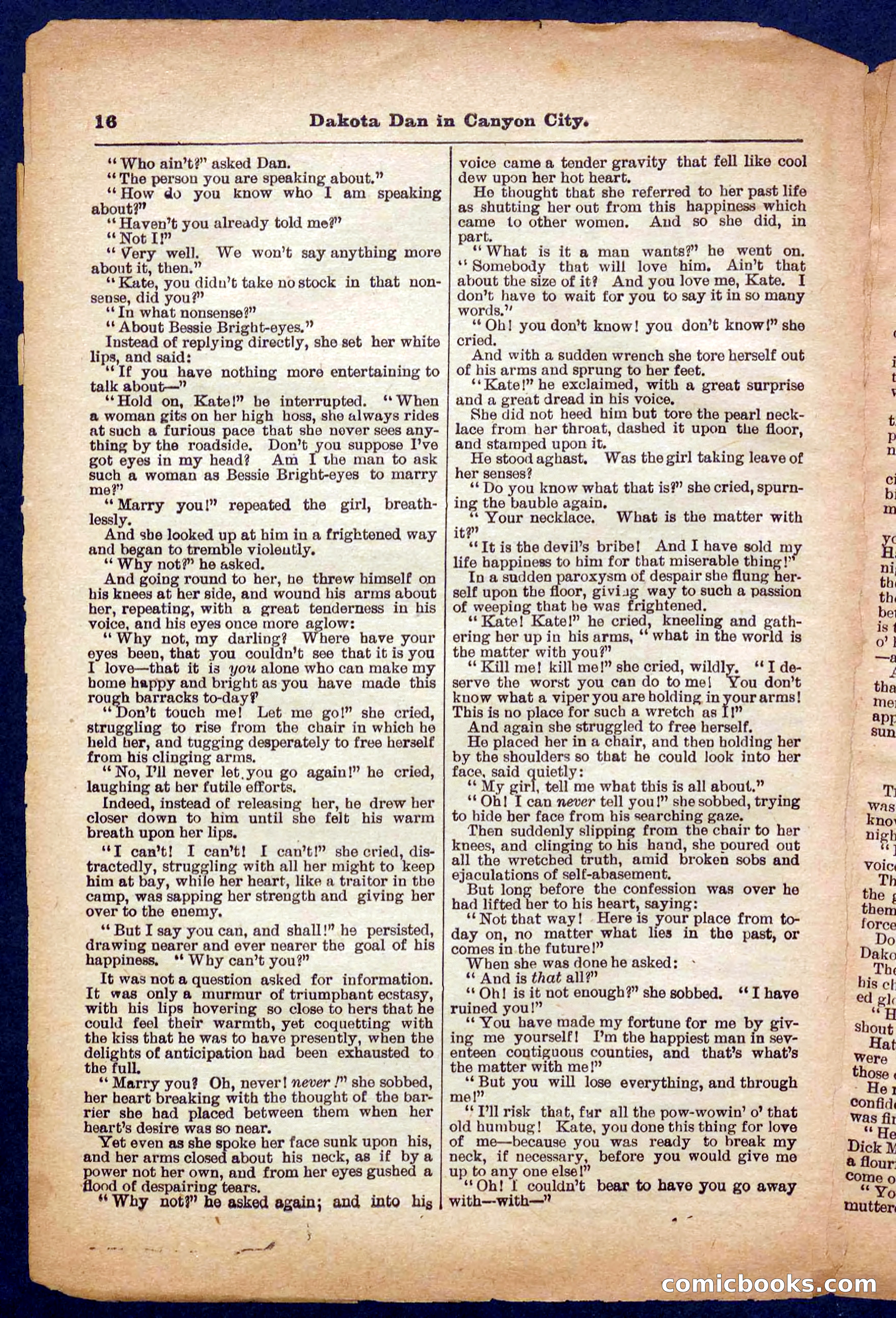 Beadle's Pocket Library No. 332 — page 16 of 32
