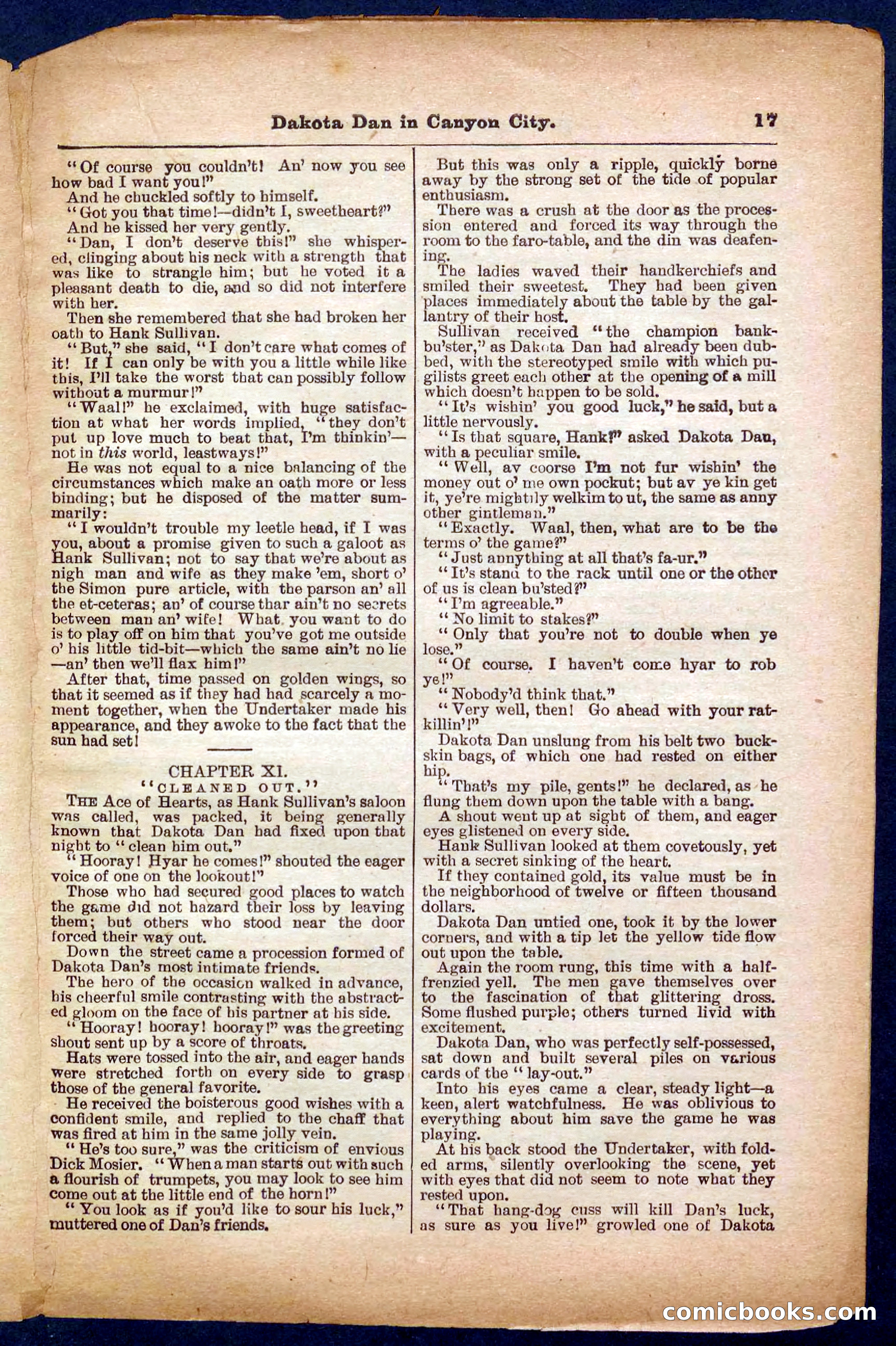 Beadle's Pocket Library No. 332 — page 17 of 32