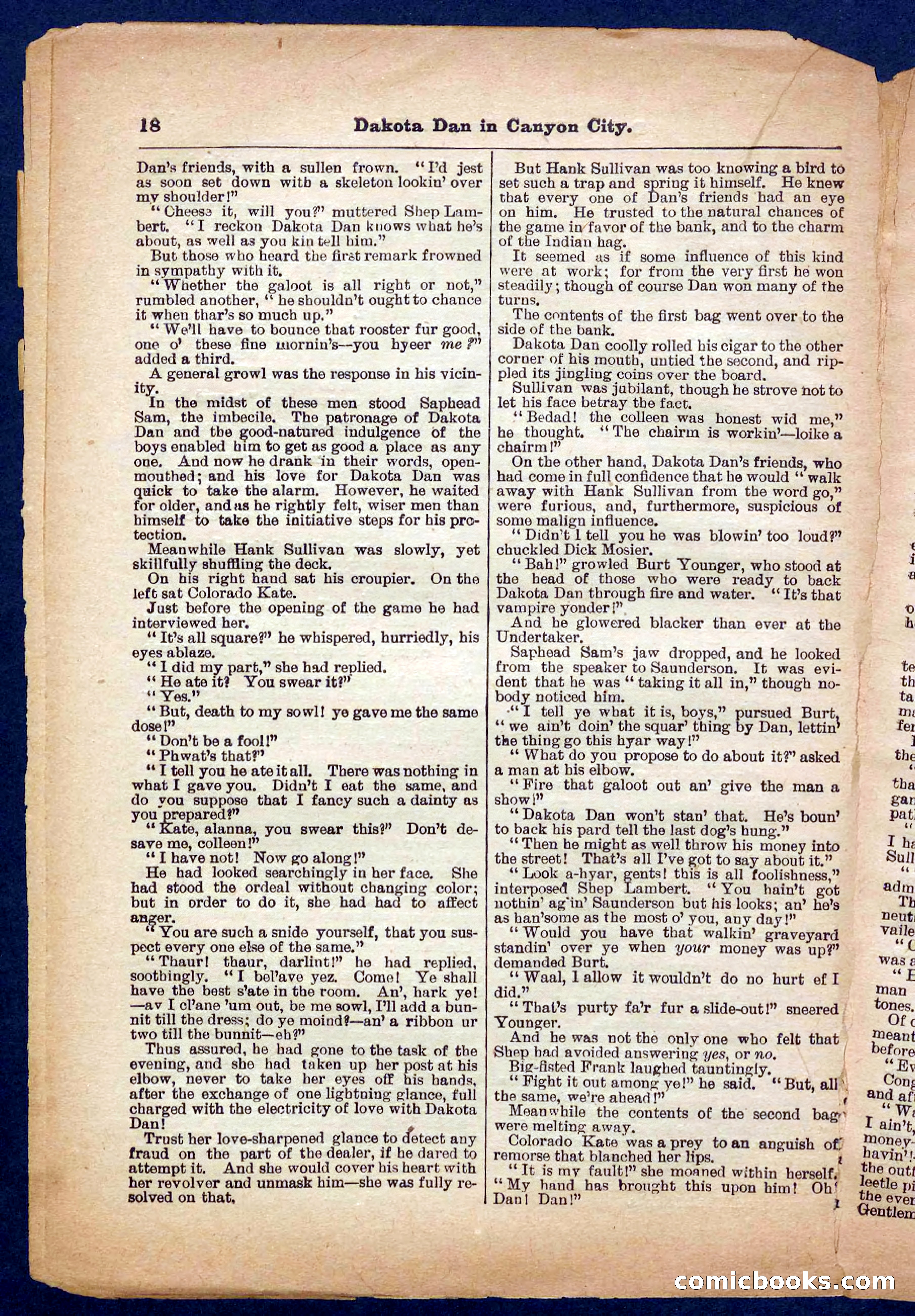Beadle's Pocket Library No. 332 — page 18 of 32